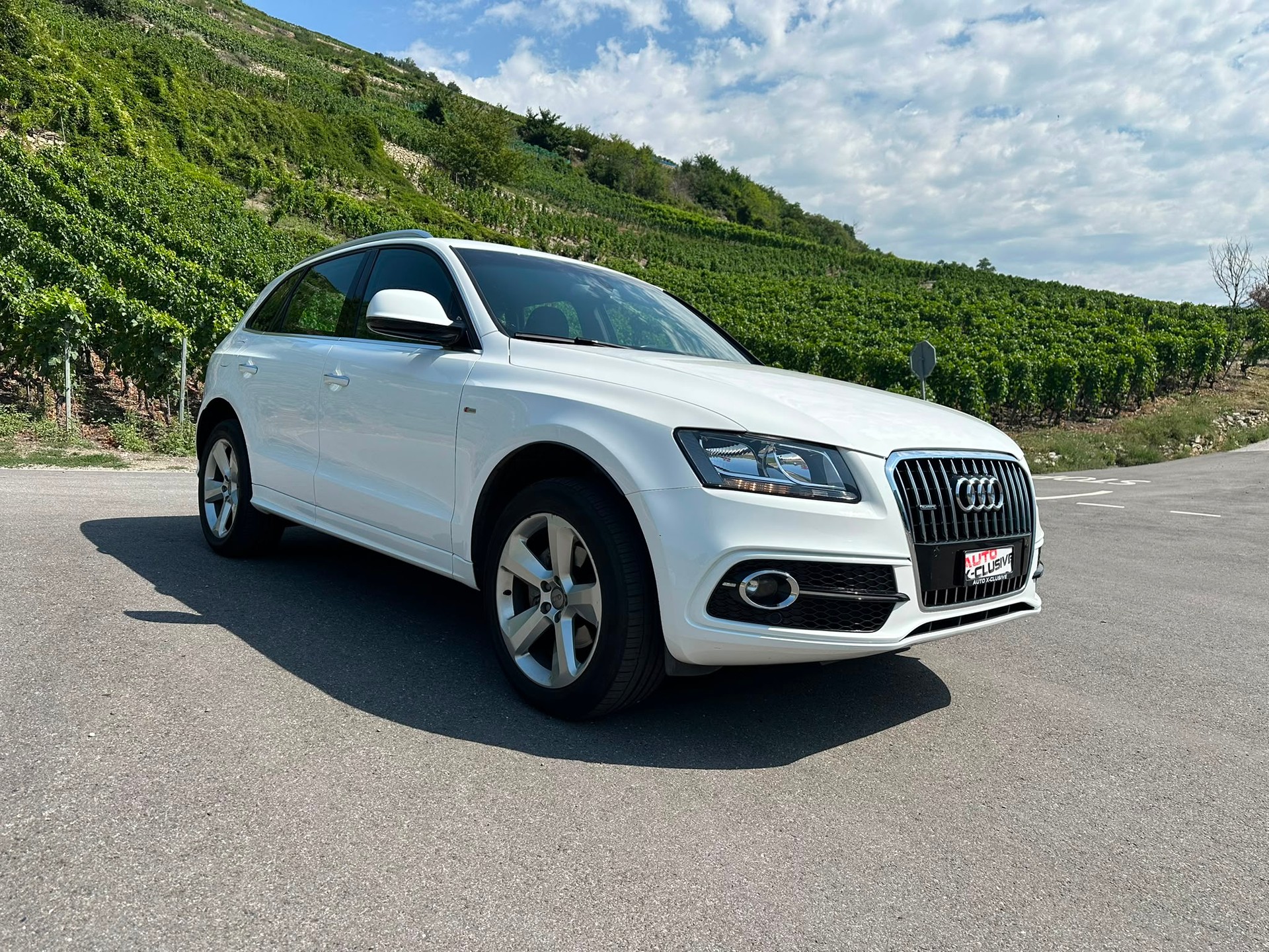 AUDI Q5 2.0 TDI quattro S-tronic-image-2
