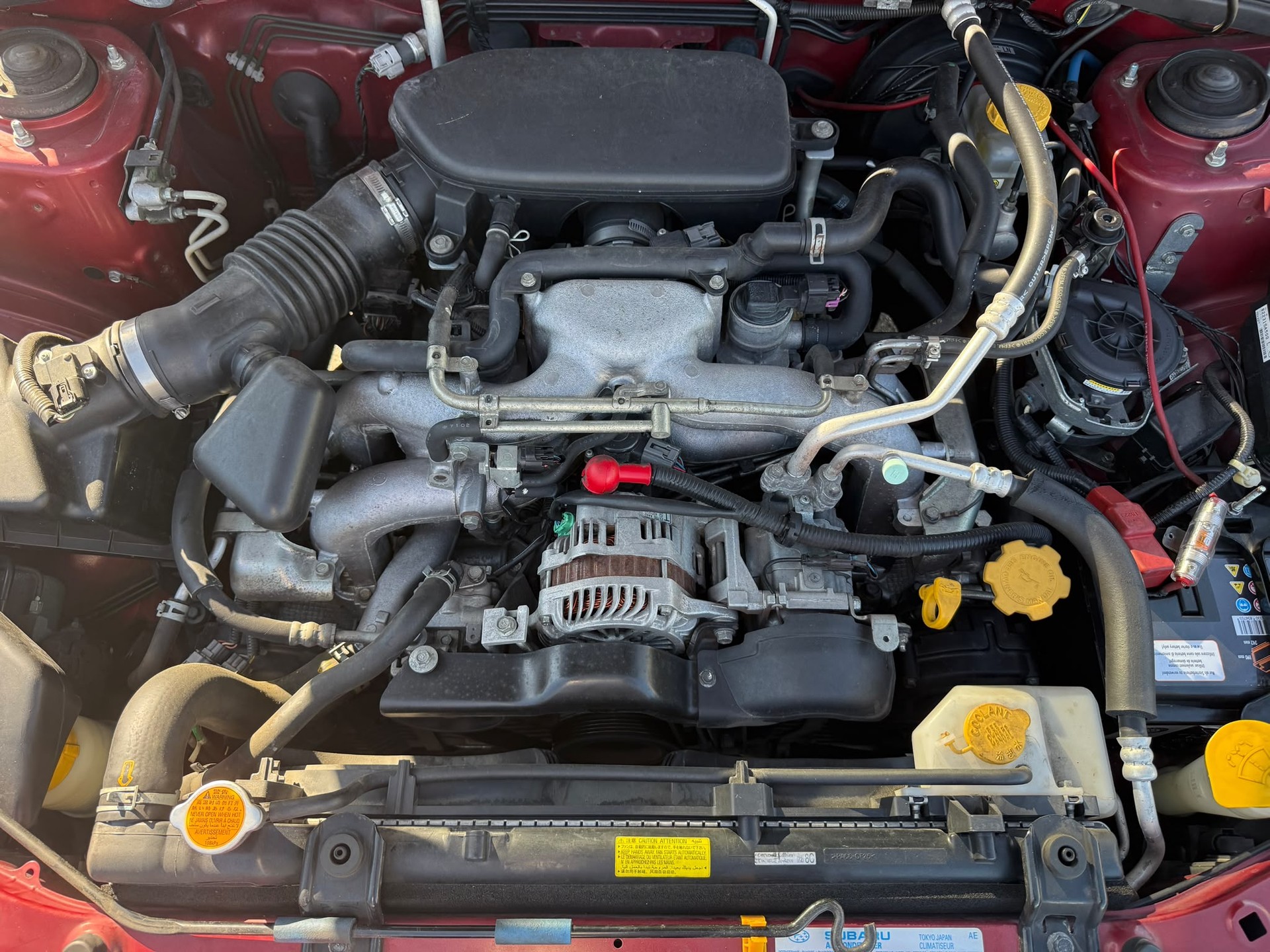 SUBARU Forester 2.0X (Swiss)-image-8