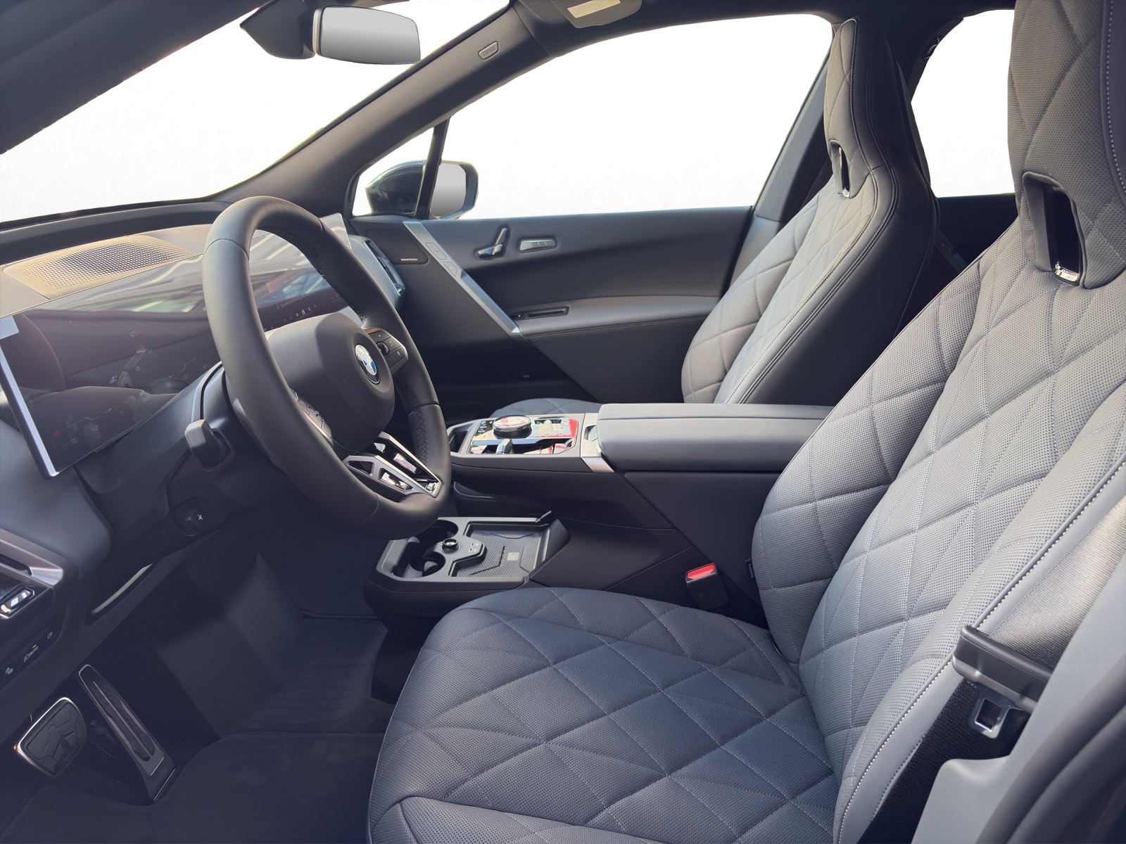 BMW iX xDrive60-image-9