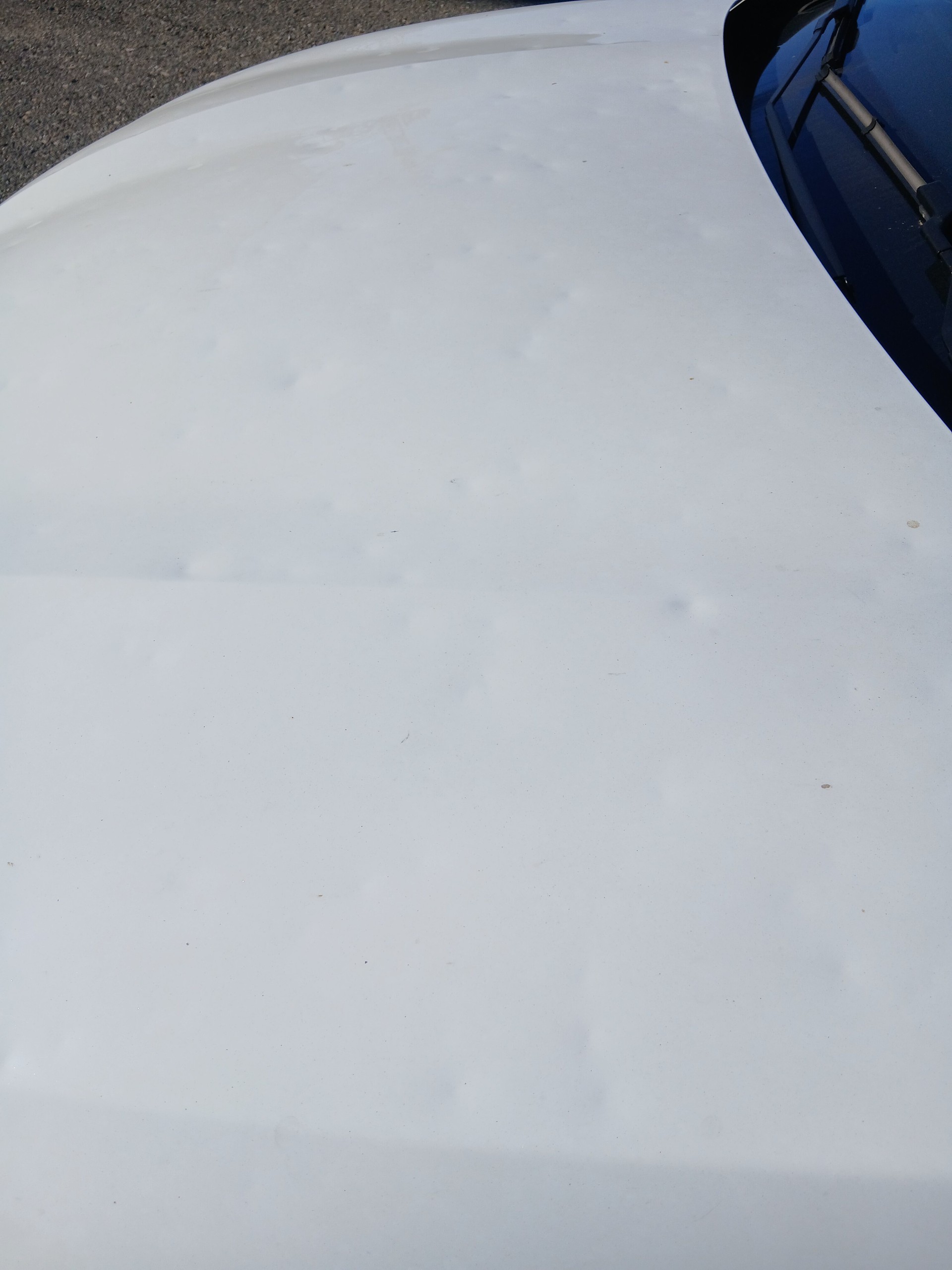 RENAULT Clio 1.0 Techno-image-7