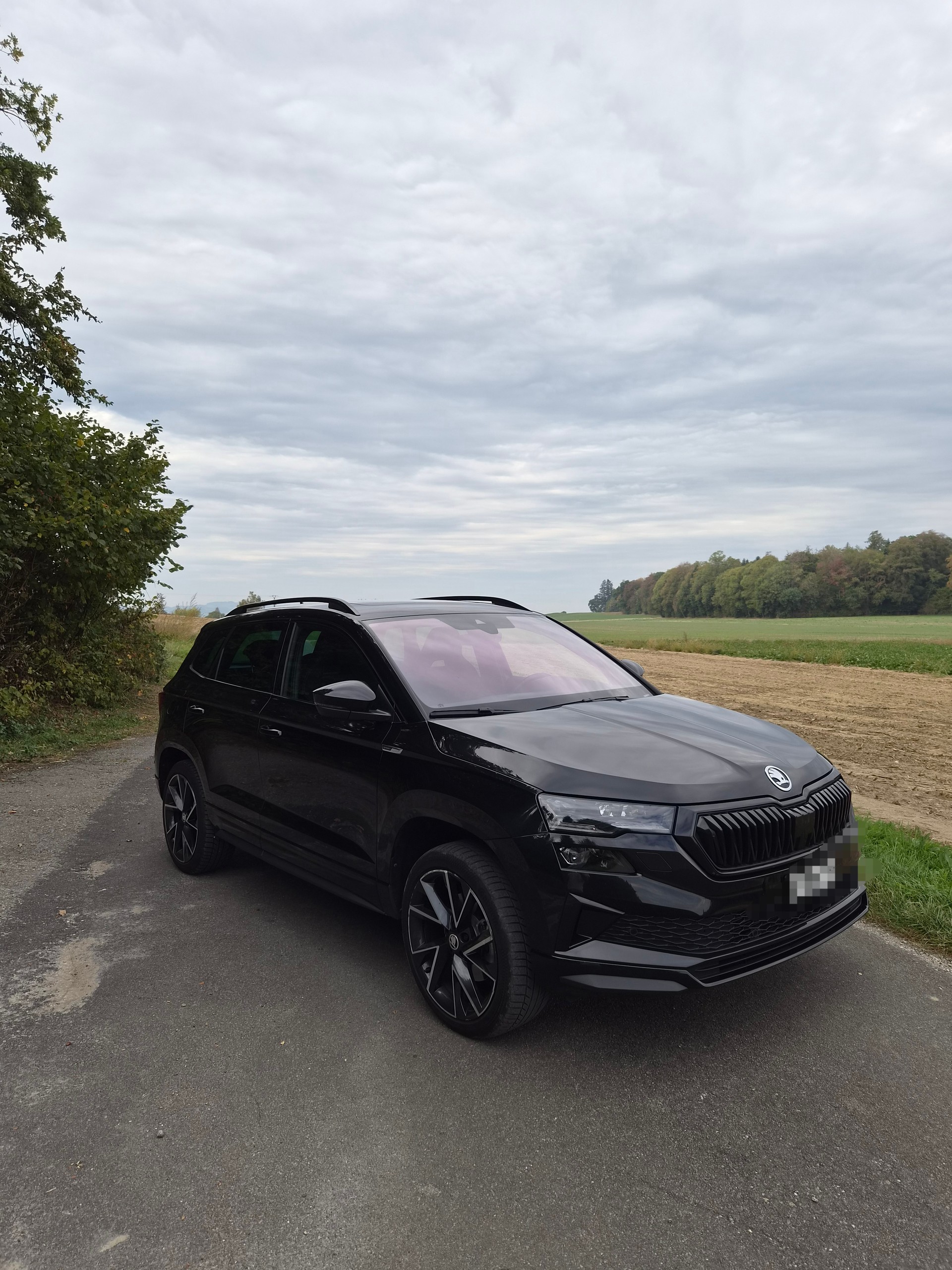 SKODA 2.0 TSI SportLine 4x4 DSG-image-3