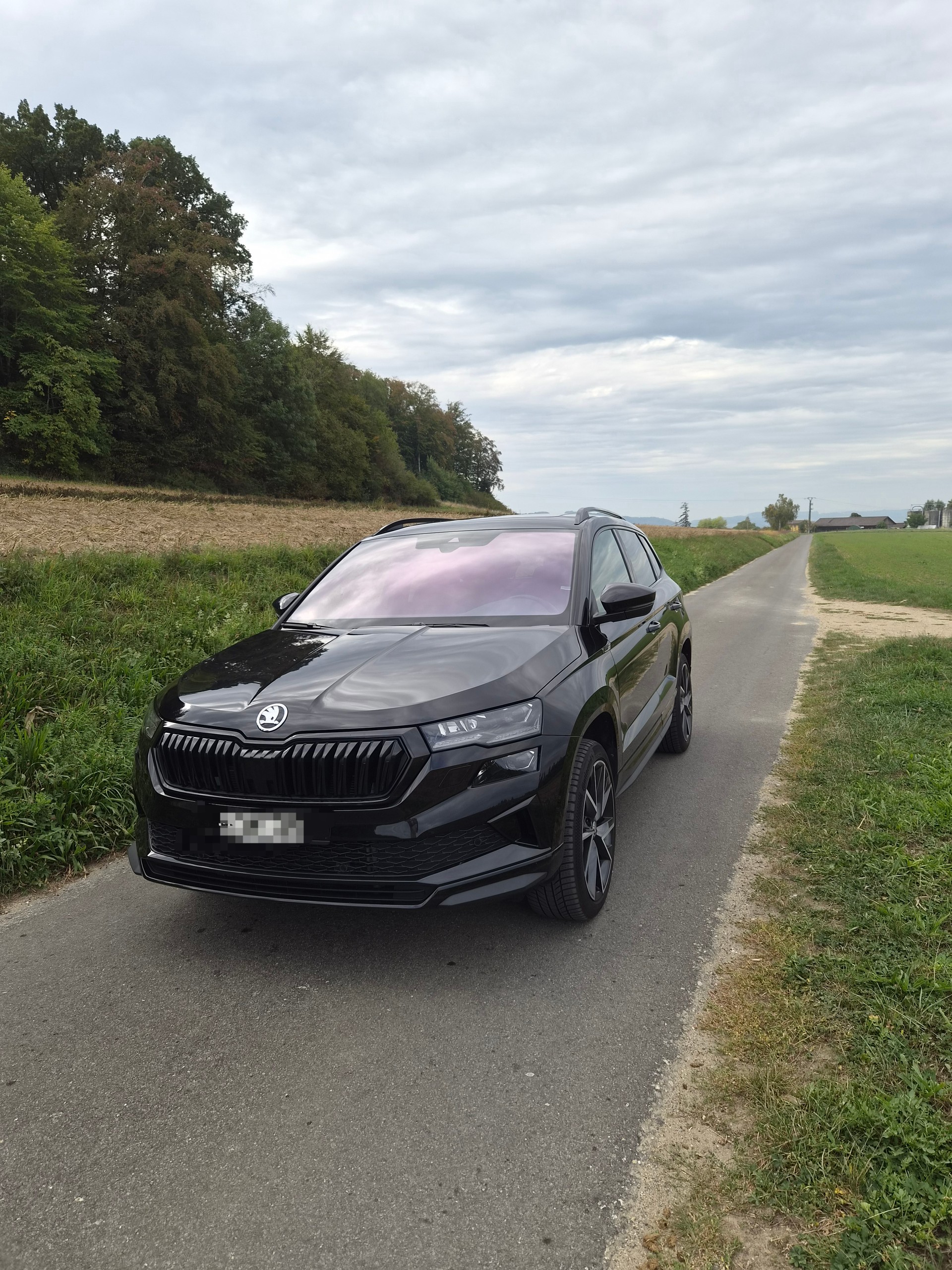 SKODA 2.0 TSI SportLine 4x4 DSG-image-2