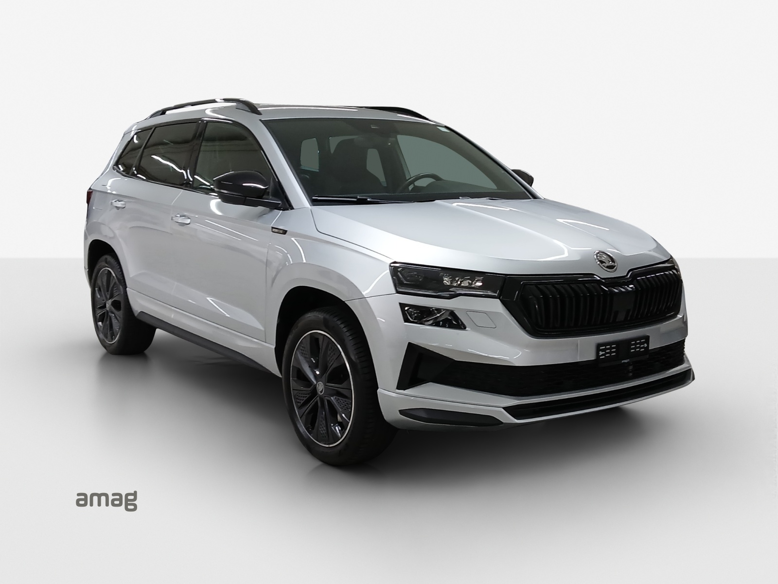 SKODA Karoq 2.0 TSI SportLine 4x4 DSG-image-5