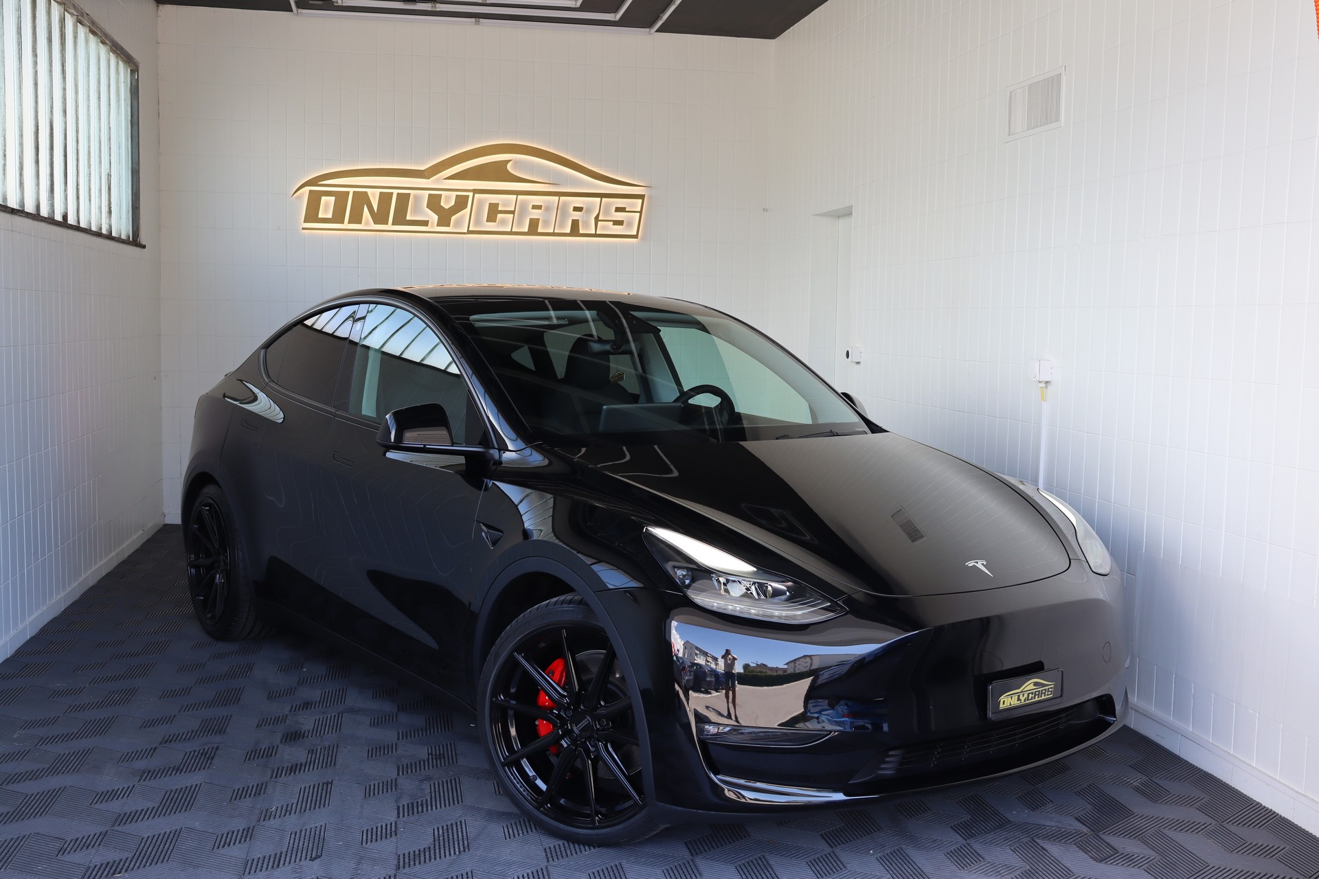 TESLA Model Y Performance-image-0