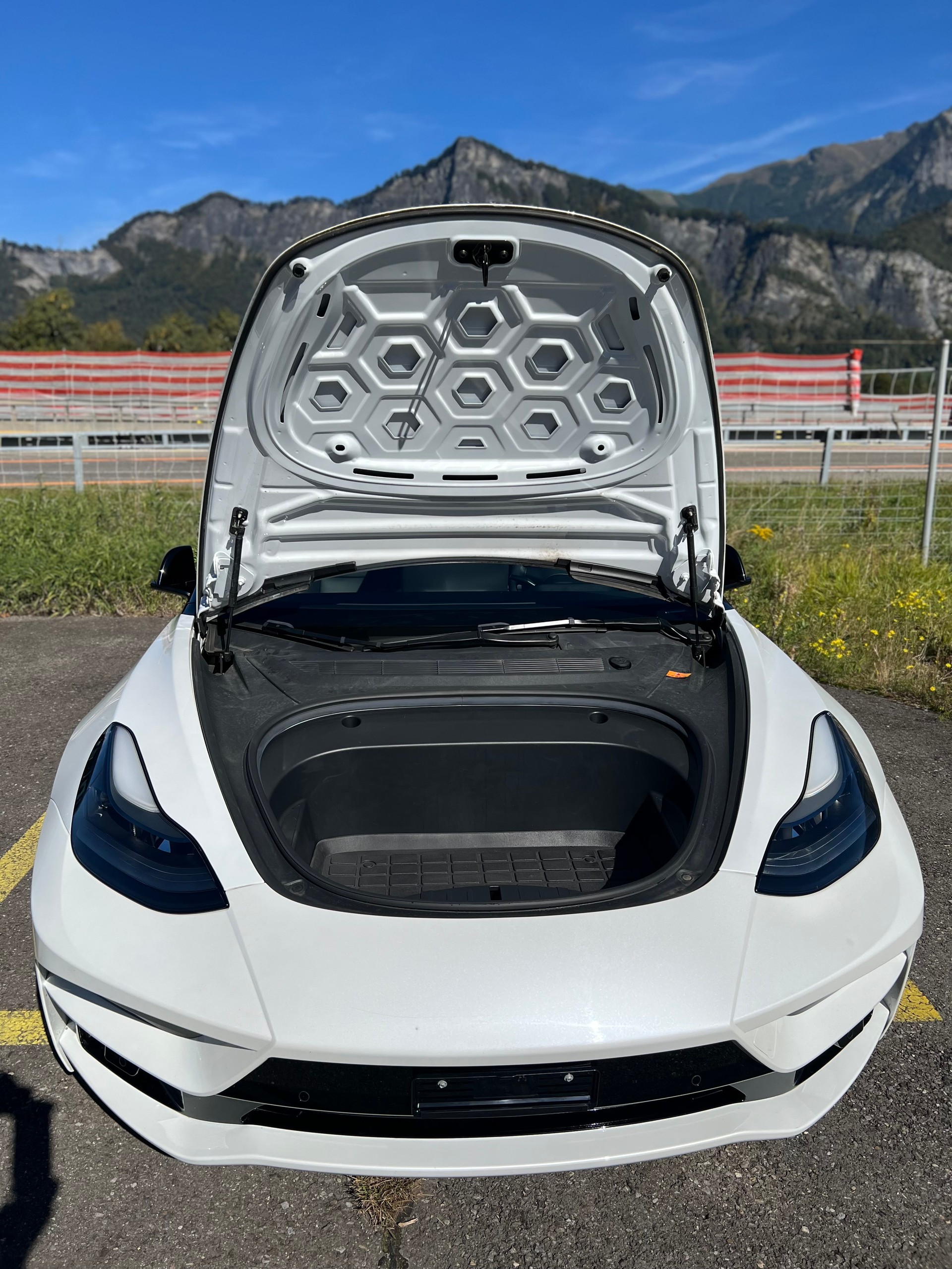 TESLA Model 3 Performance Dual Motor AWD-image-15