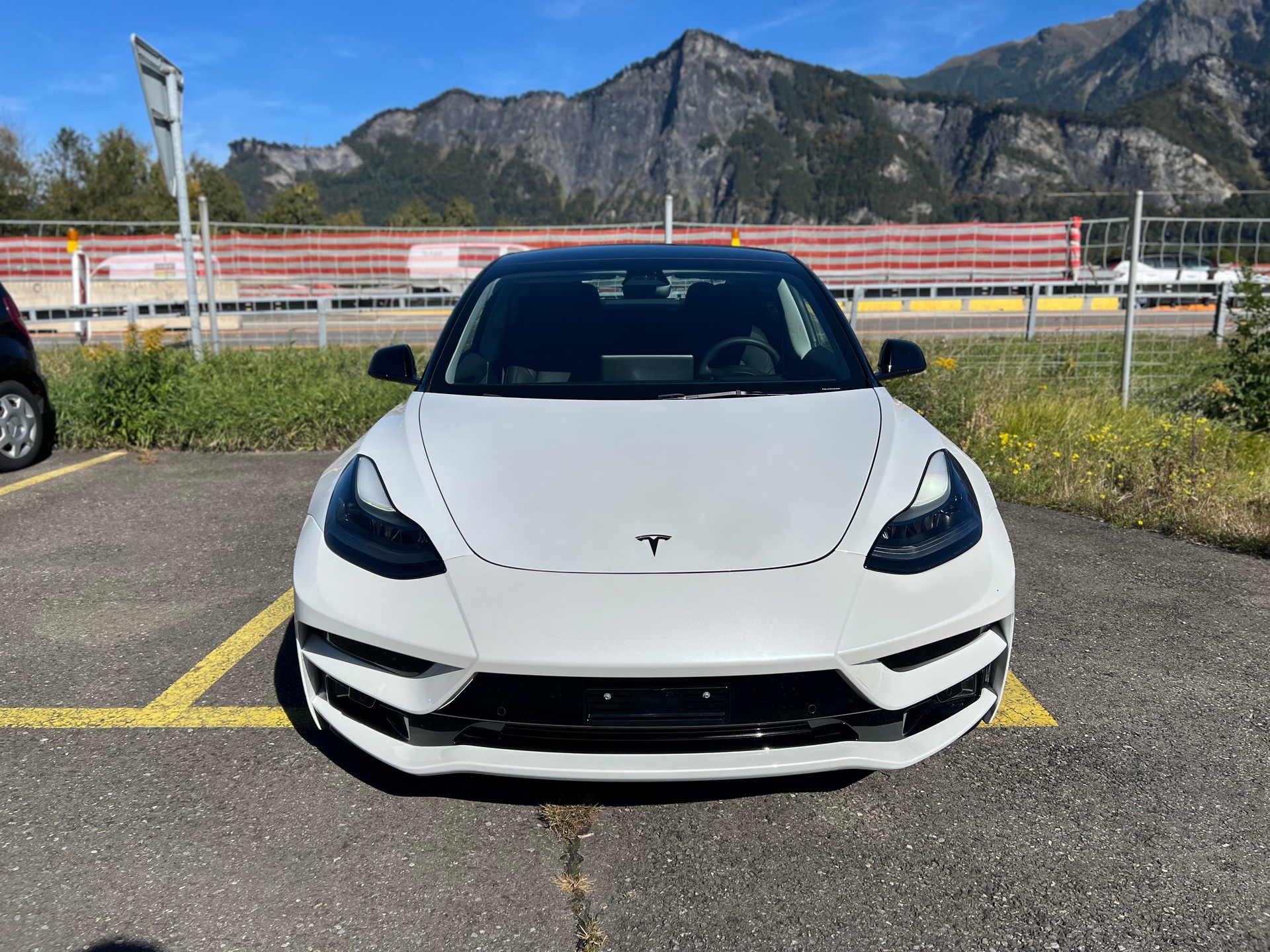 TESLA Model 3 Performance Dual Motor AWD-image-0
