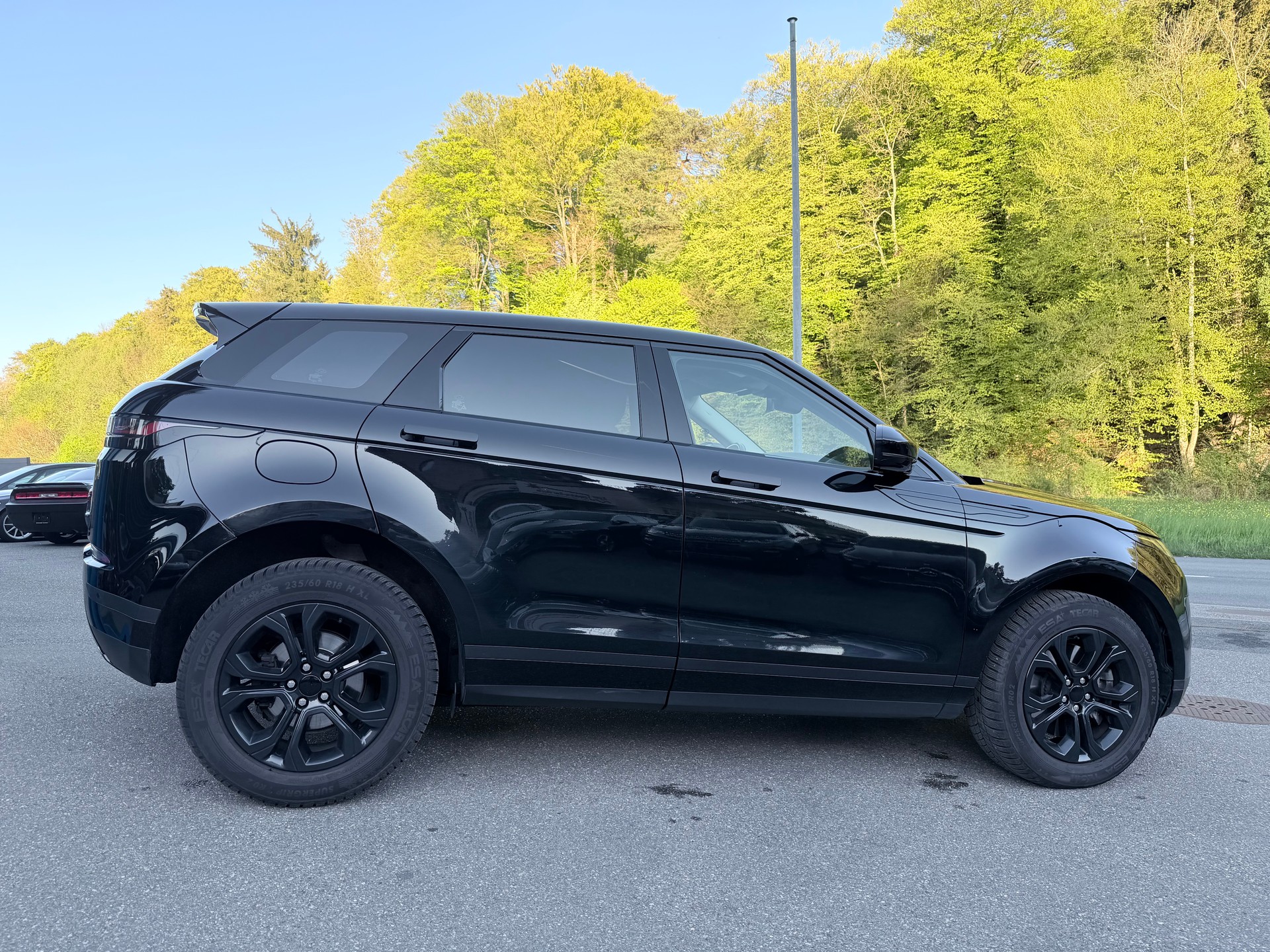 LAND ROVER Range Rover Evoque D 180 S AT9-image-2