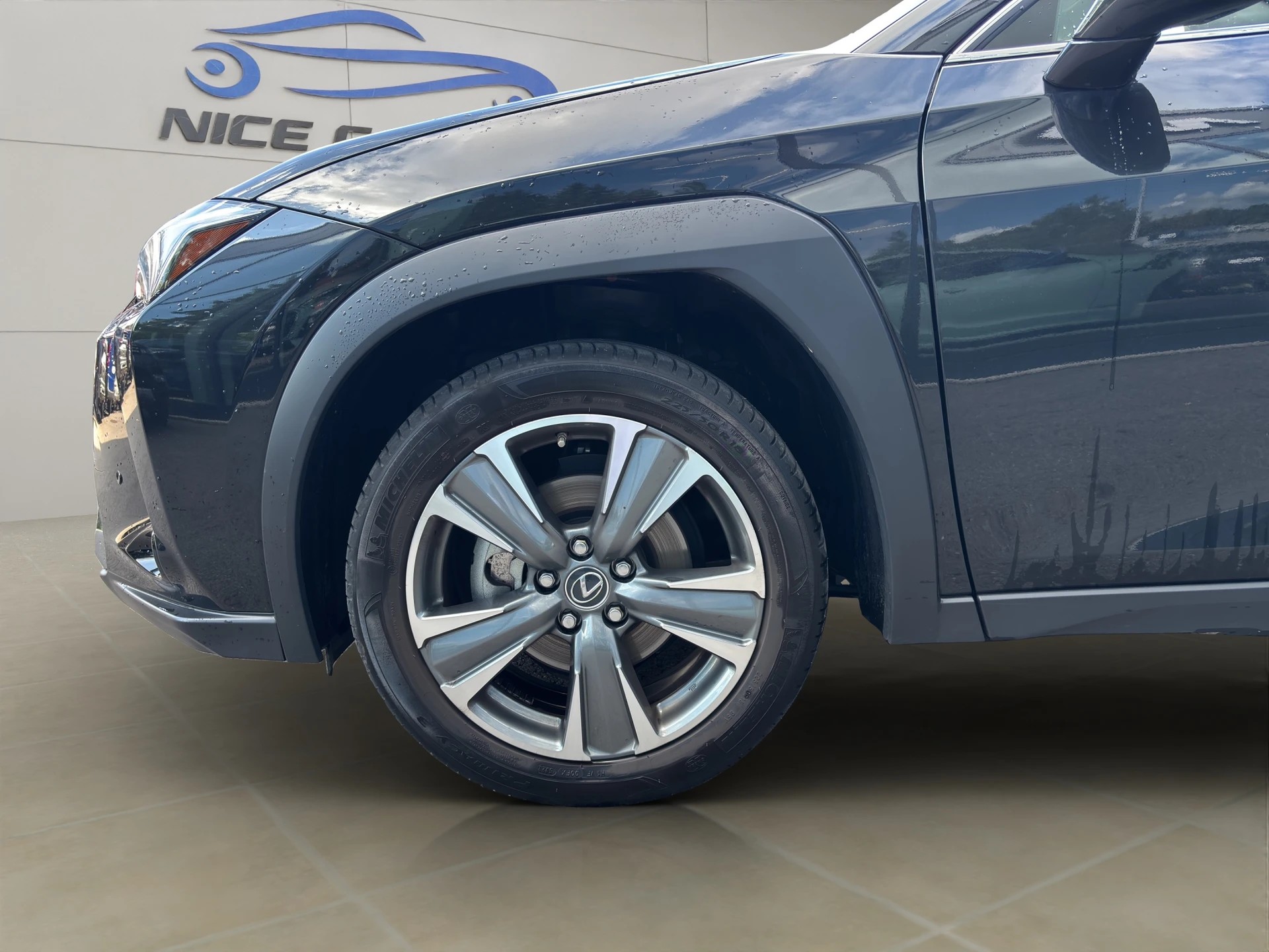 LEXUS UX 300e Excellence Automatic-image-4