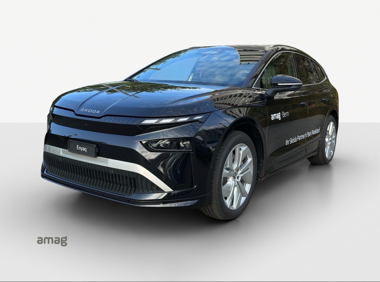 SKODA Enyaq 85x Selection 4x4-showroom-element-1