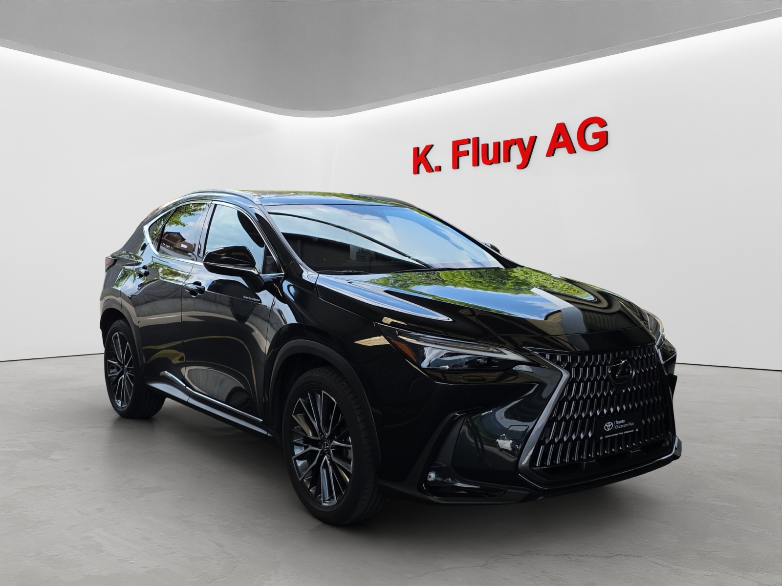LEXUS NX 350h Excellence-image-6