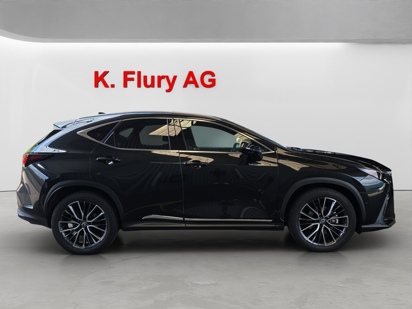 LEXUS NX 350h Excellence-image-5