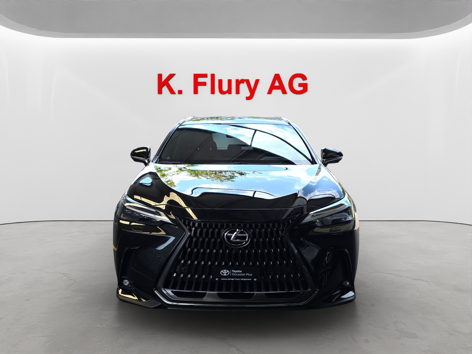 LEXUS NX 350h Excellence-image-7