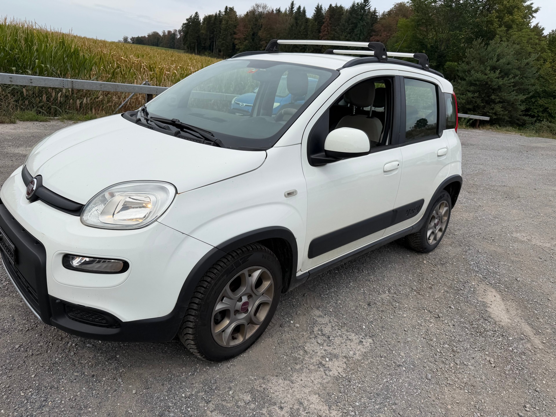 FIAT Panda 1.3 MJ Climbing 4x4-image-1