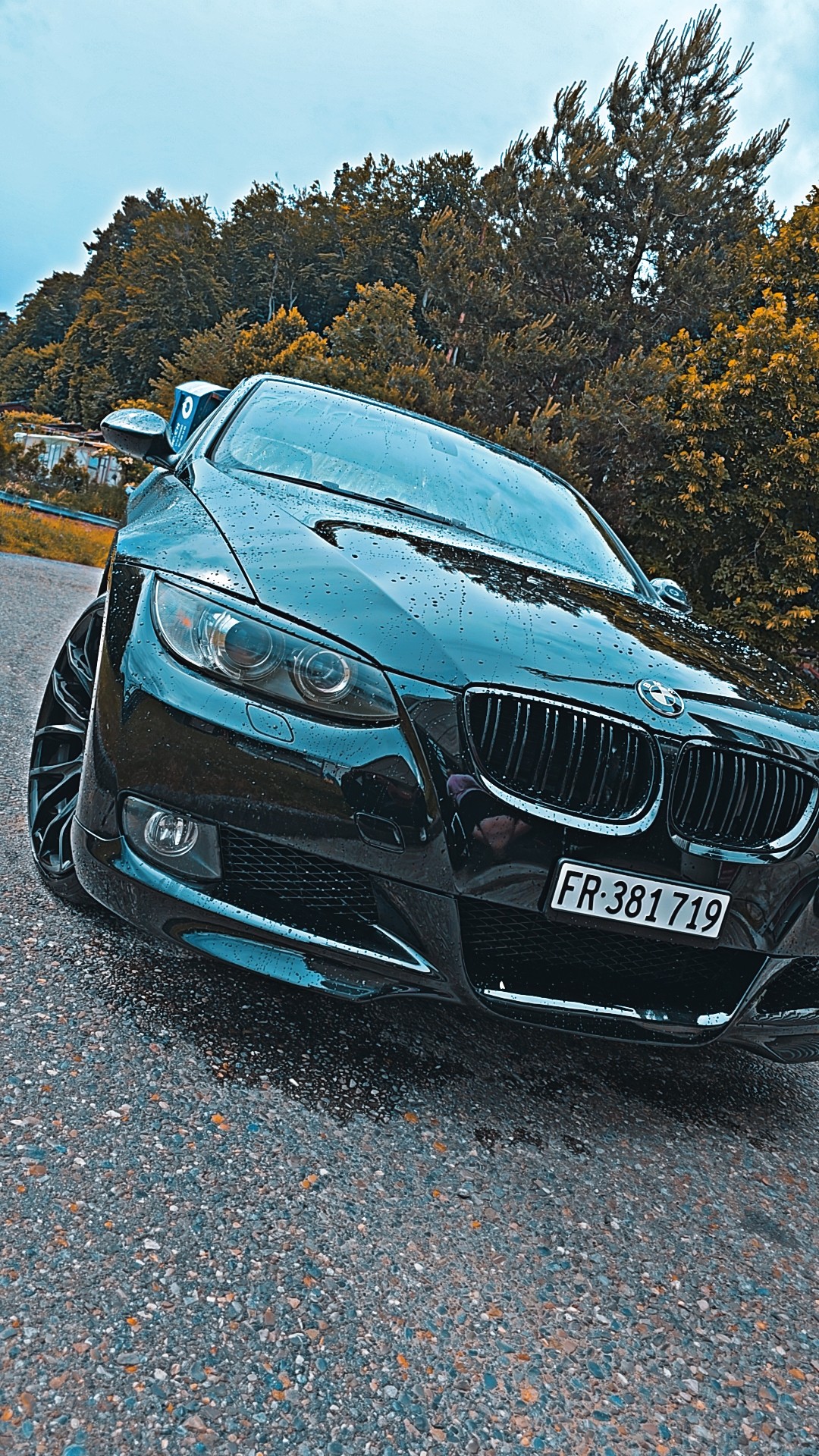 BMW 335i-image-1