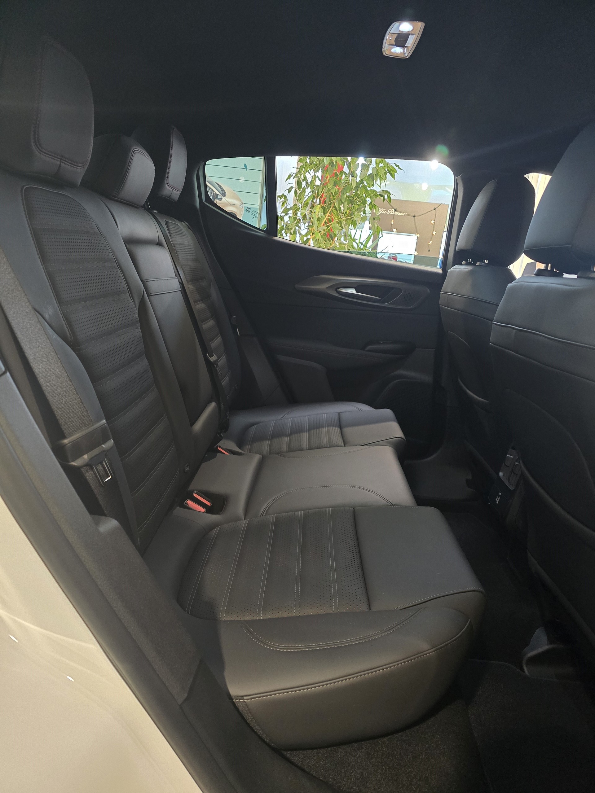 ALFA ROMEO Tonale 1.3 Plug-in-Hybrid Q4 Tributo Italiano-image-11
