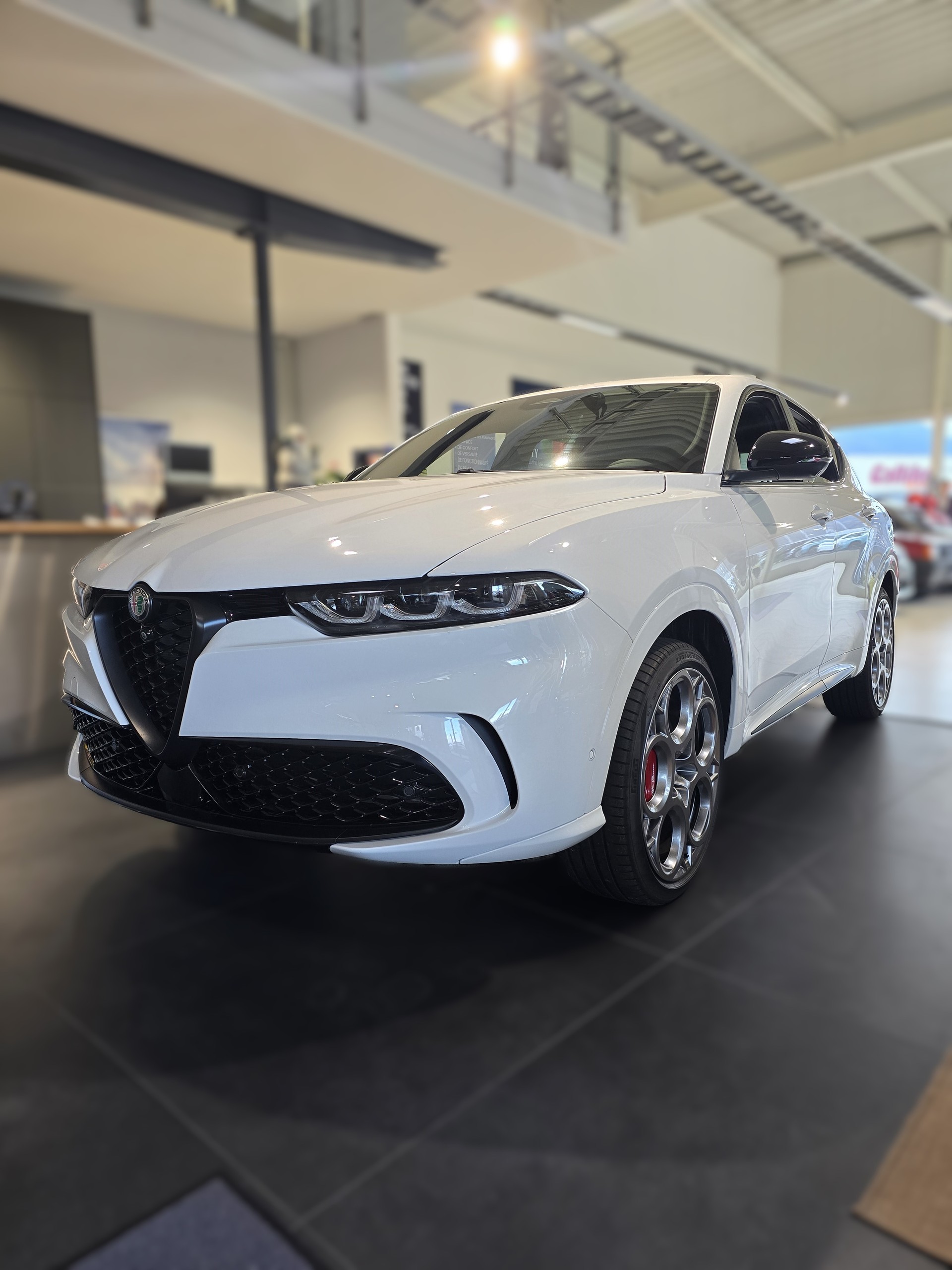 ALFA ROMEO Tonale 1.3 Plug-in-Hybrid Q4 Tributo Italiano-image-0
