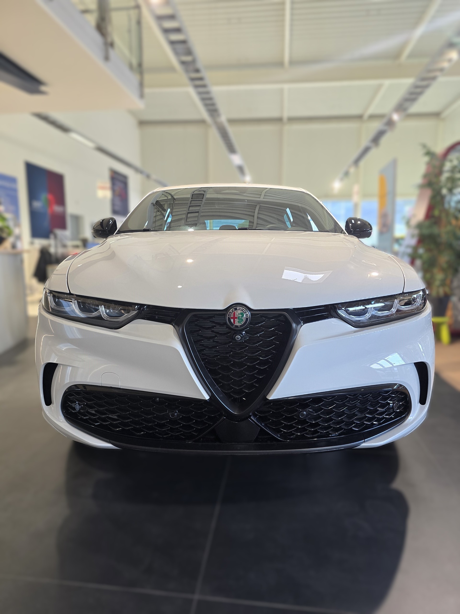 ALFA ROMEO Tonale 1.3 Plug-in-Hybrid Q4 Tributo Italiano-image-5