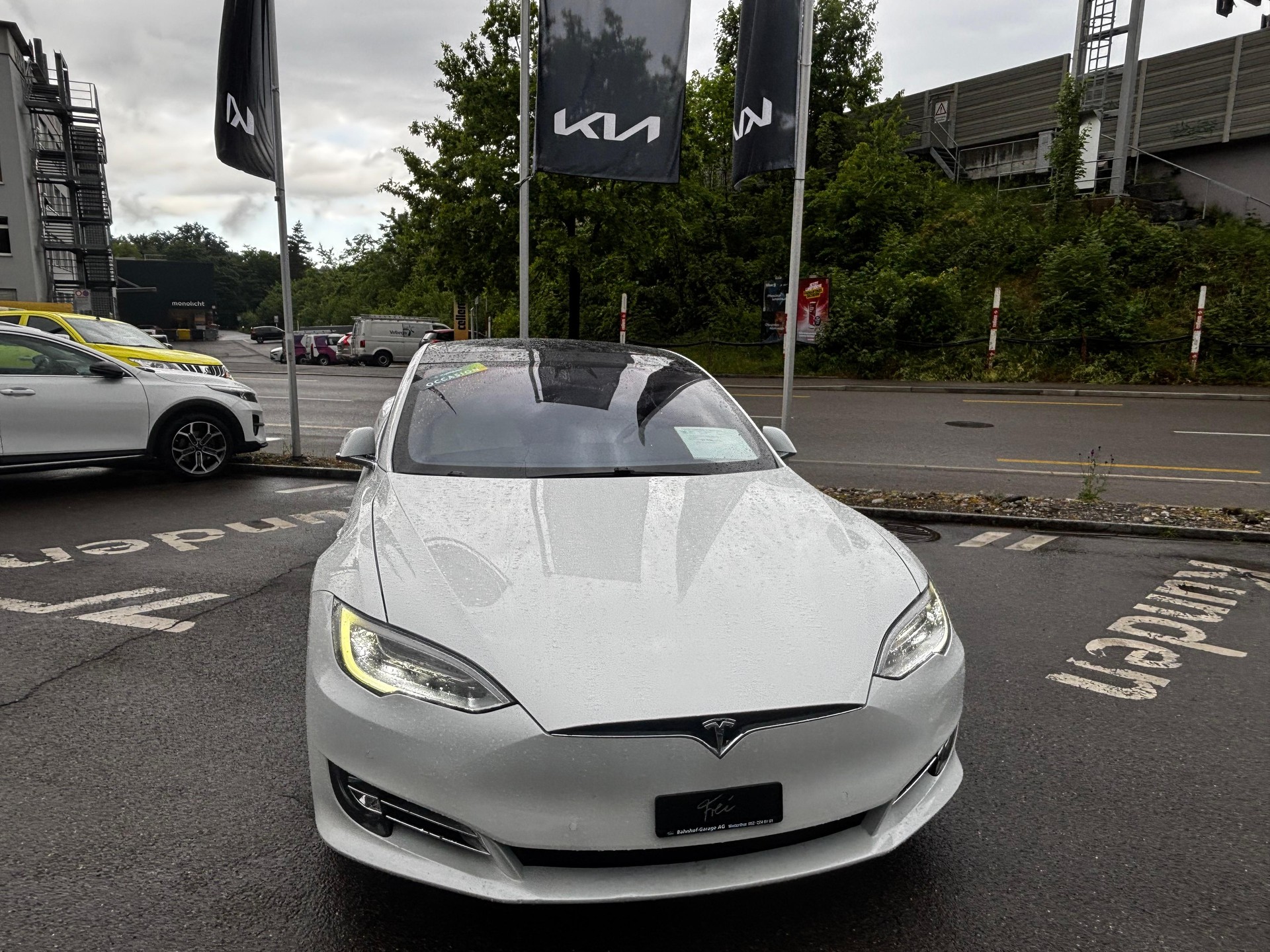TESLA Model S 100 Performance D-image-6