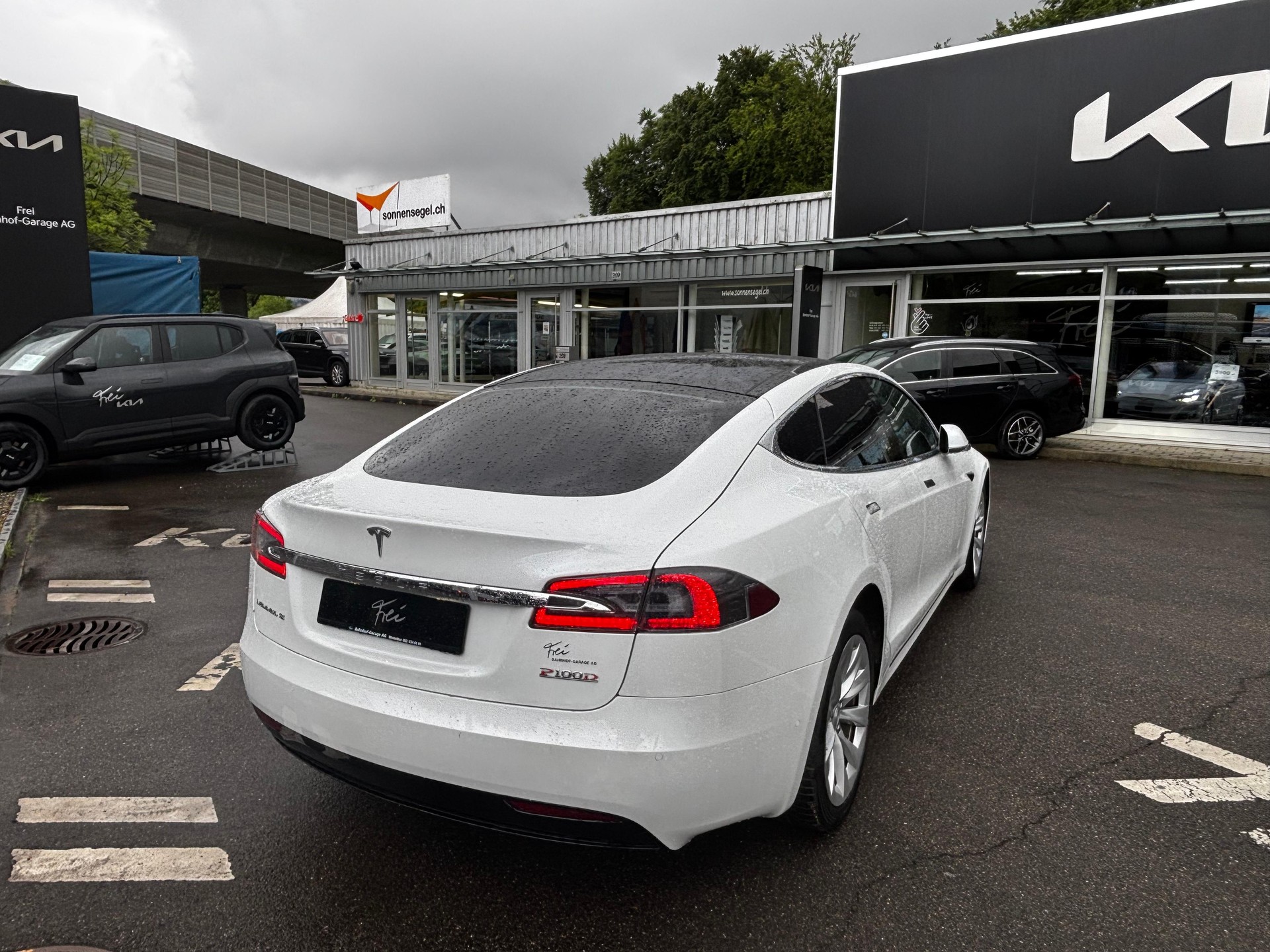 TESLA Model S 100 Performance D-image-1