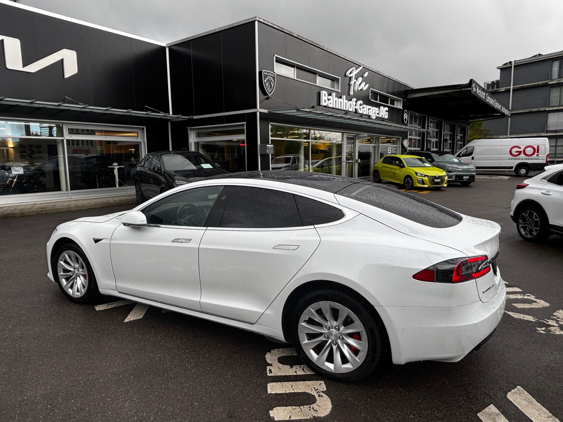 TESLA Model S 100 Performance D-image-8