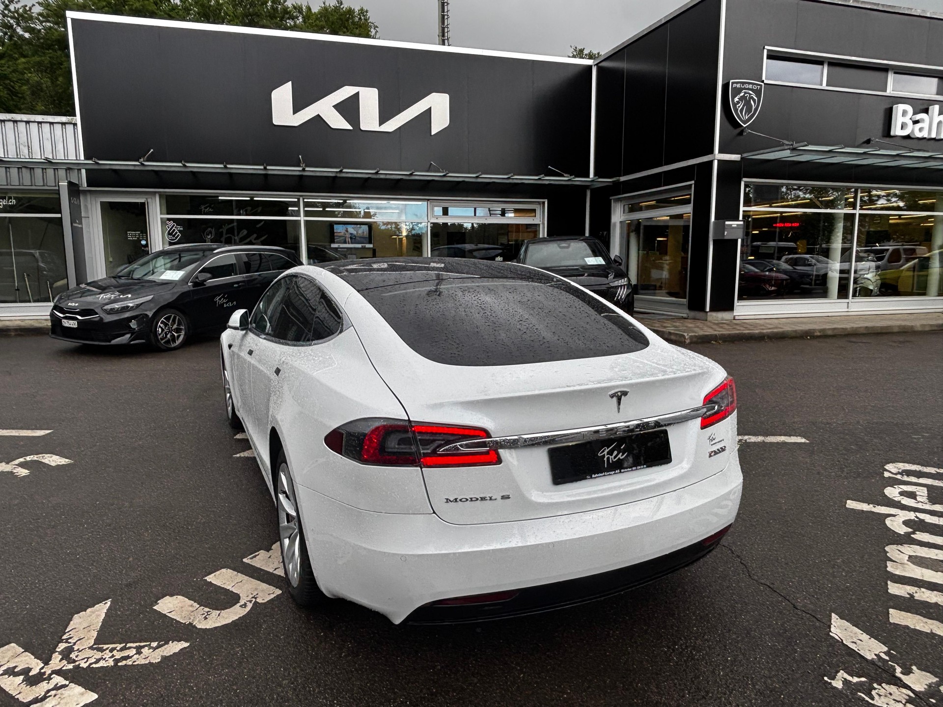 TESLA Model S 100 Performance D-image-3