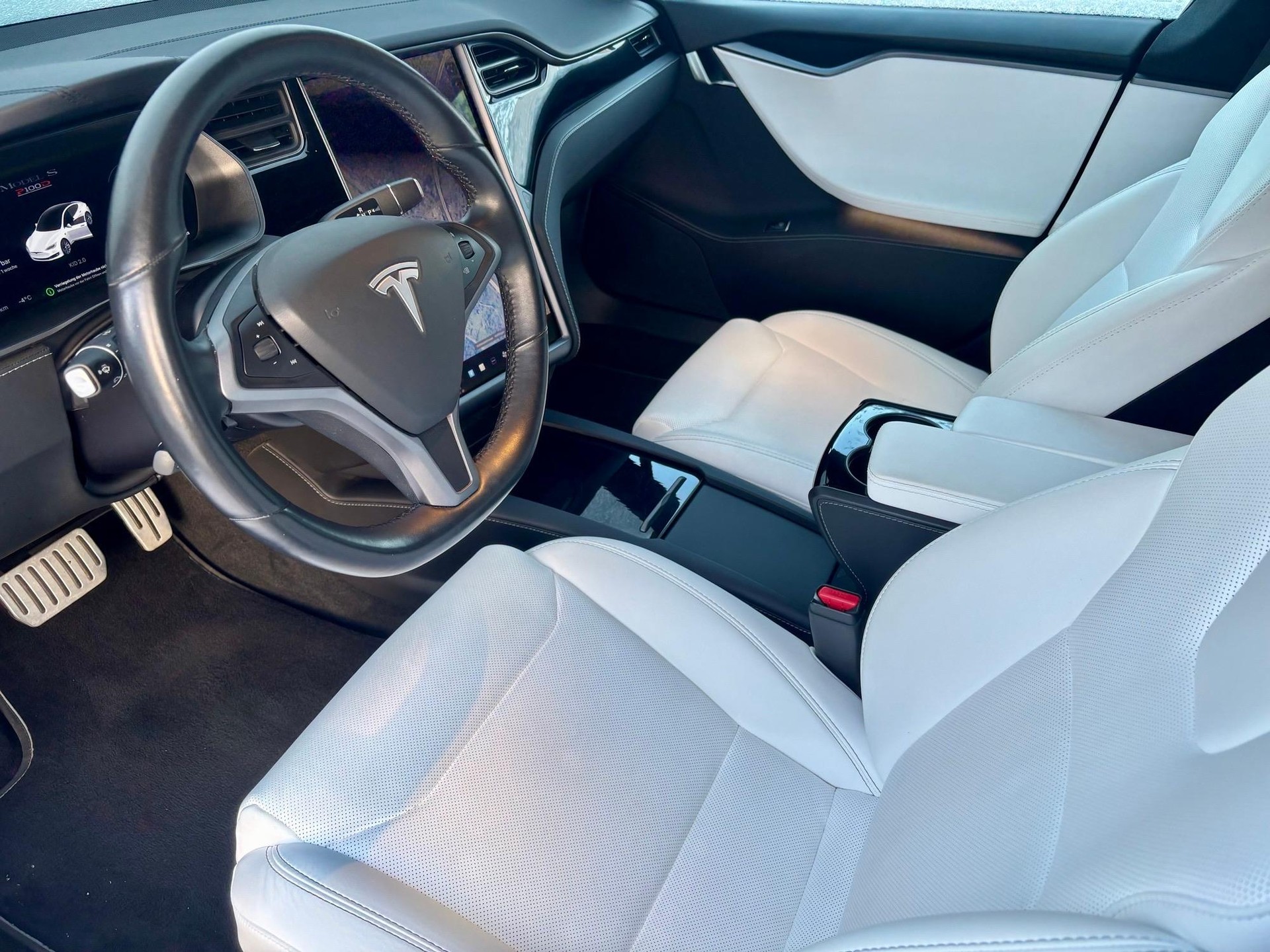 TESLA Model S 100 Performance D-image-10