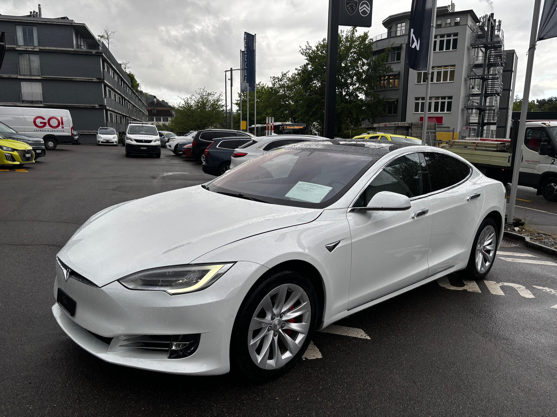 TESLA Model S 100 Performance D-image-2