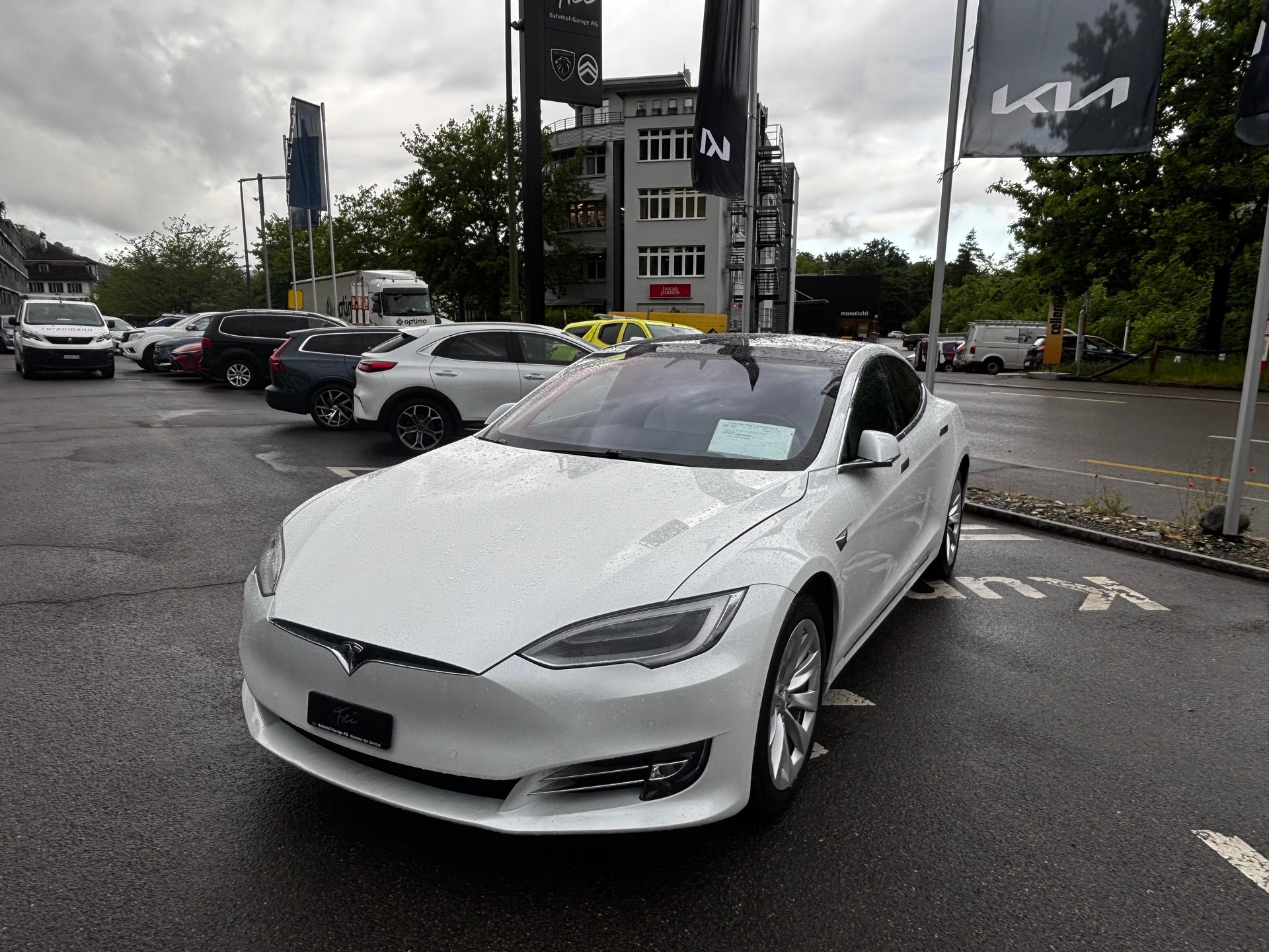 TESLA Model S 100 Performance D-image-5