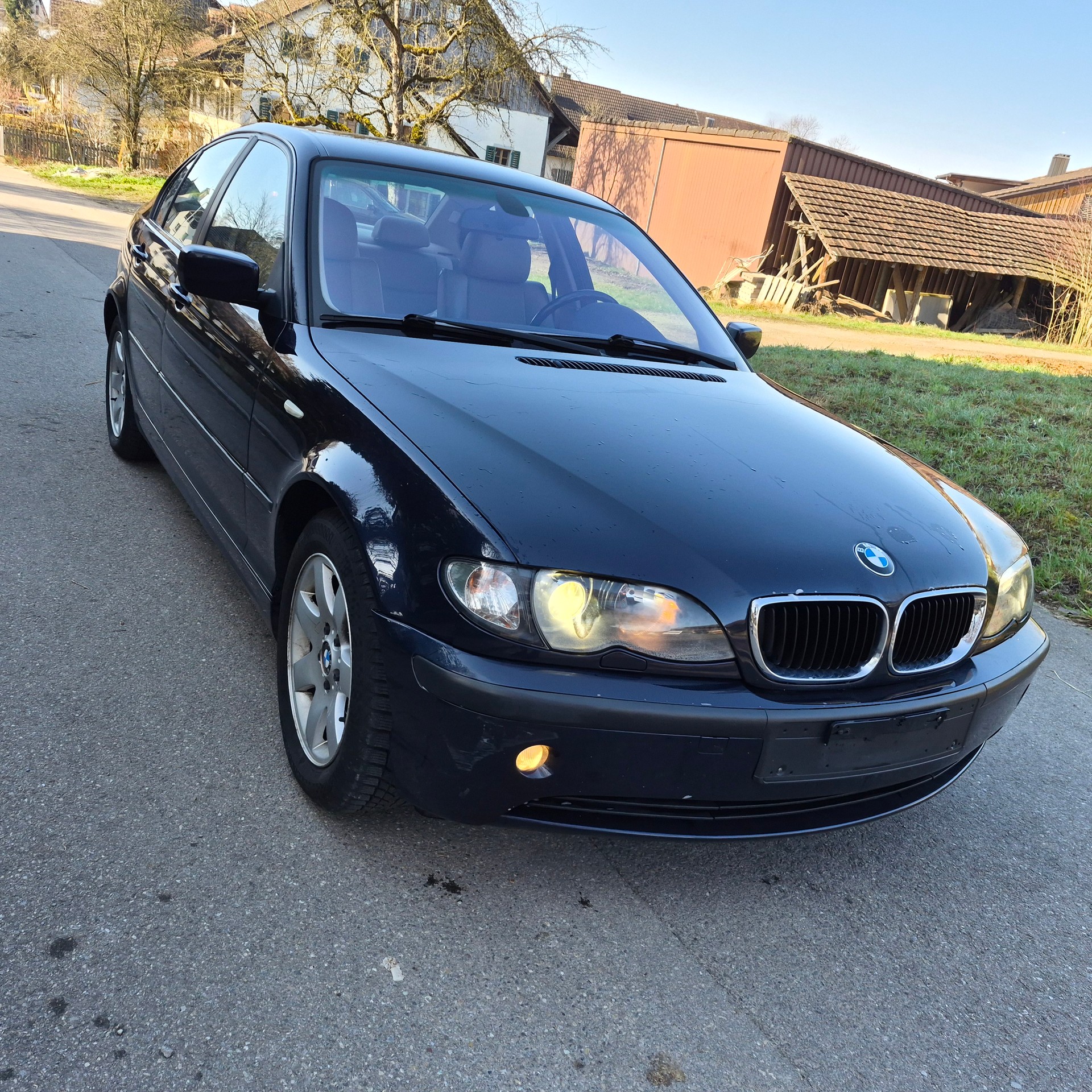 BMW 318i-image-3