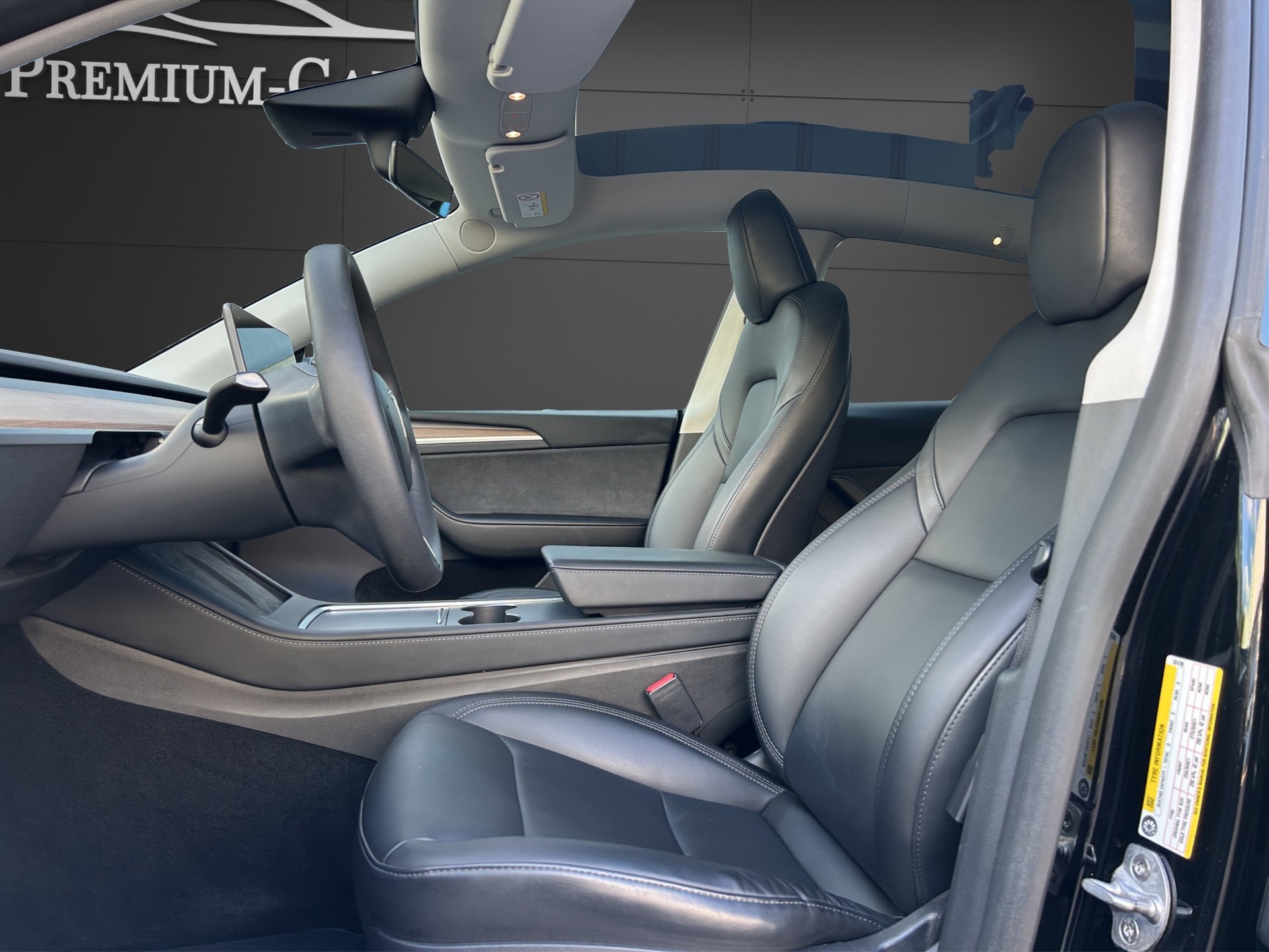 TESLA Model Y Performance / Enhanced Autopilot-image-5