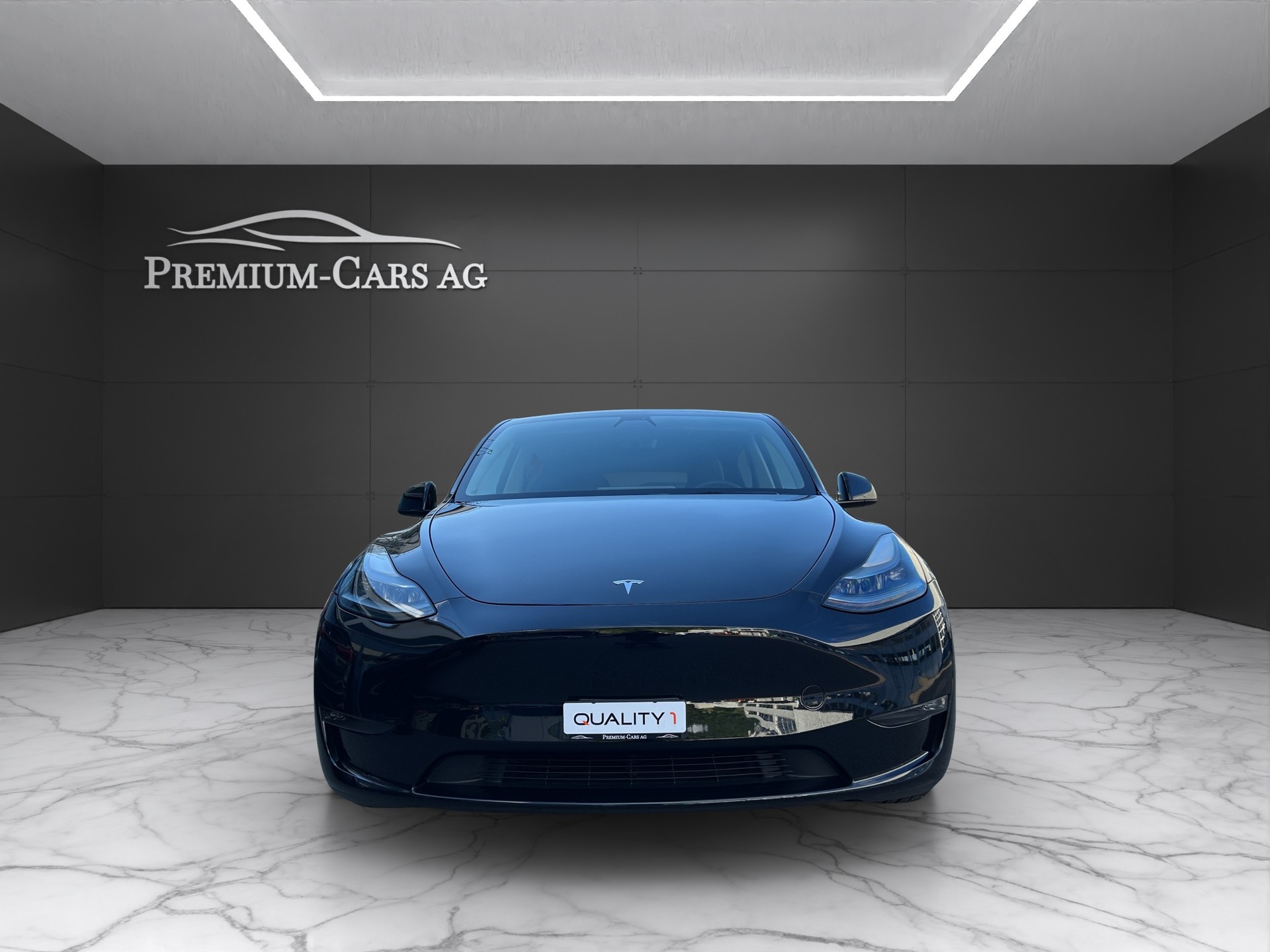 TESLA Model Y Performance / Enhanced Autopilot-image-3