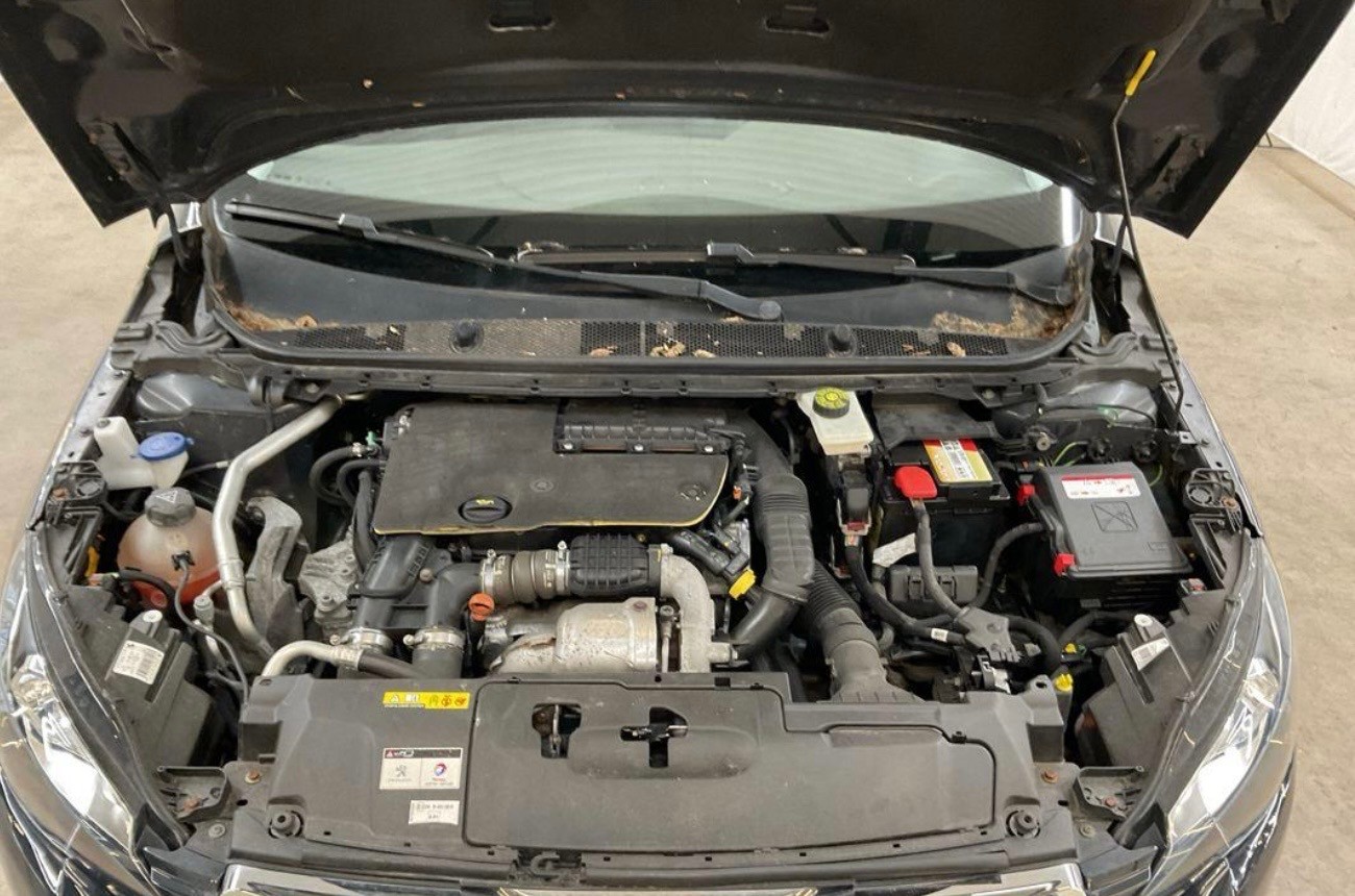 PEUGEOT 308 SW 1.6 BlueHDI Active-image-10
