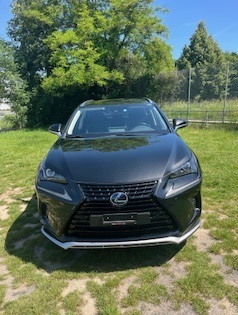 LEXUS 300h Special Edition-image-0