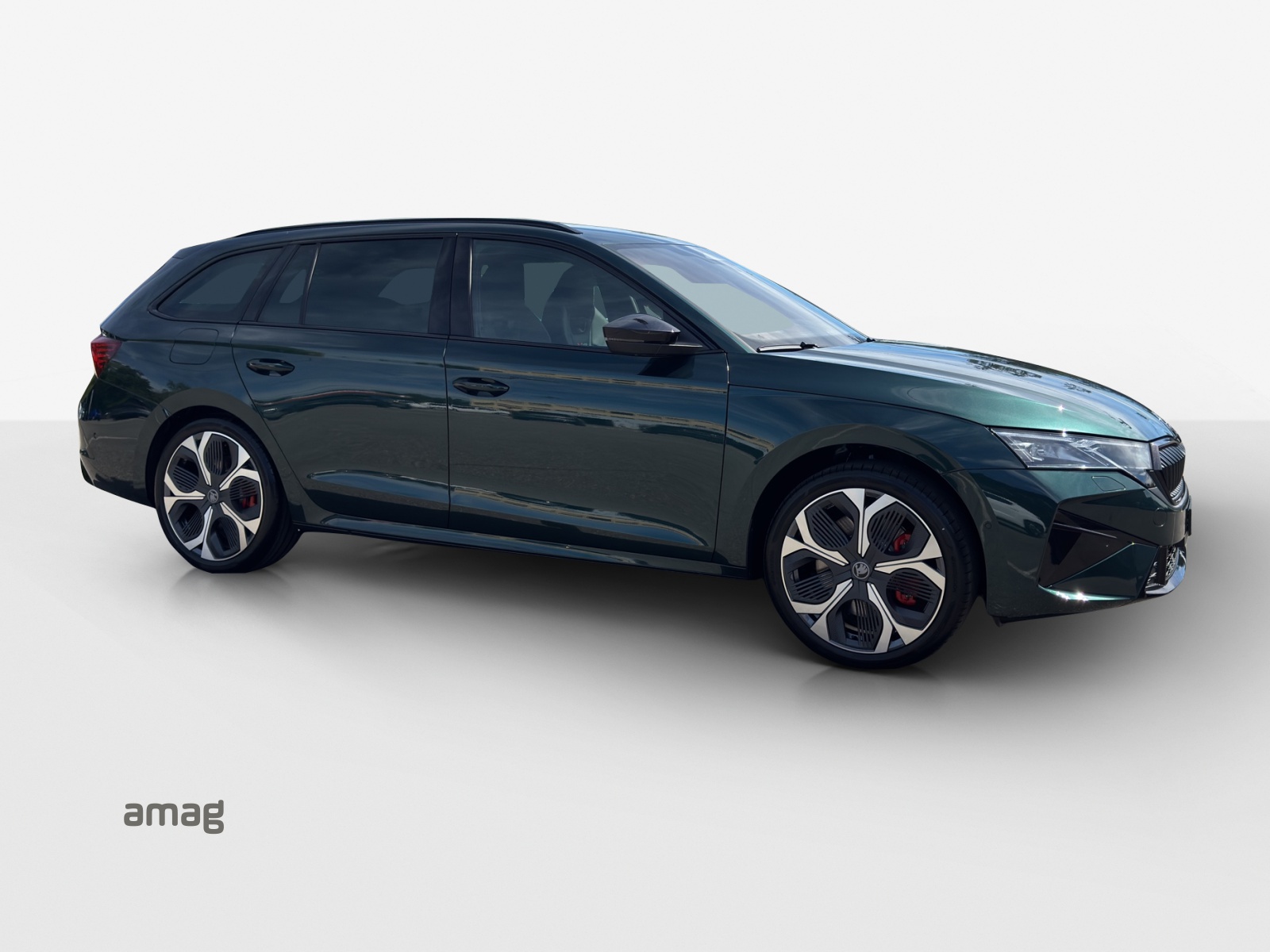 SKODA Octavia RS 30 Years Edition 2.0 TSI 265PS 7DSG-image-5