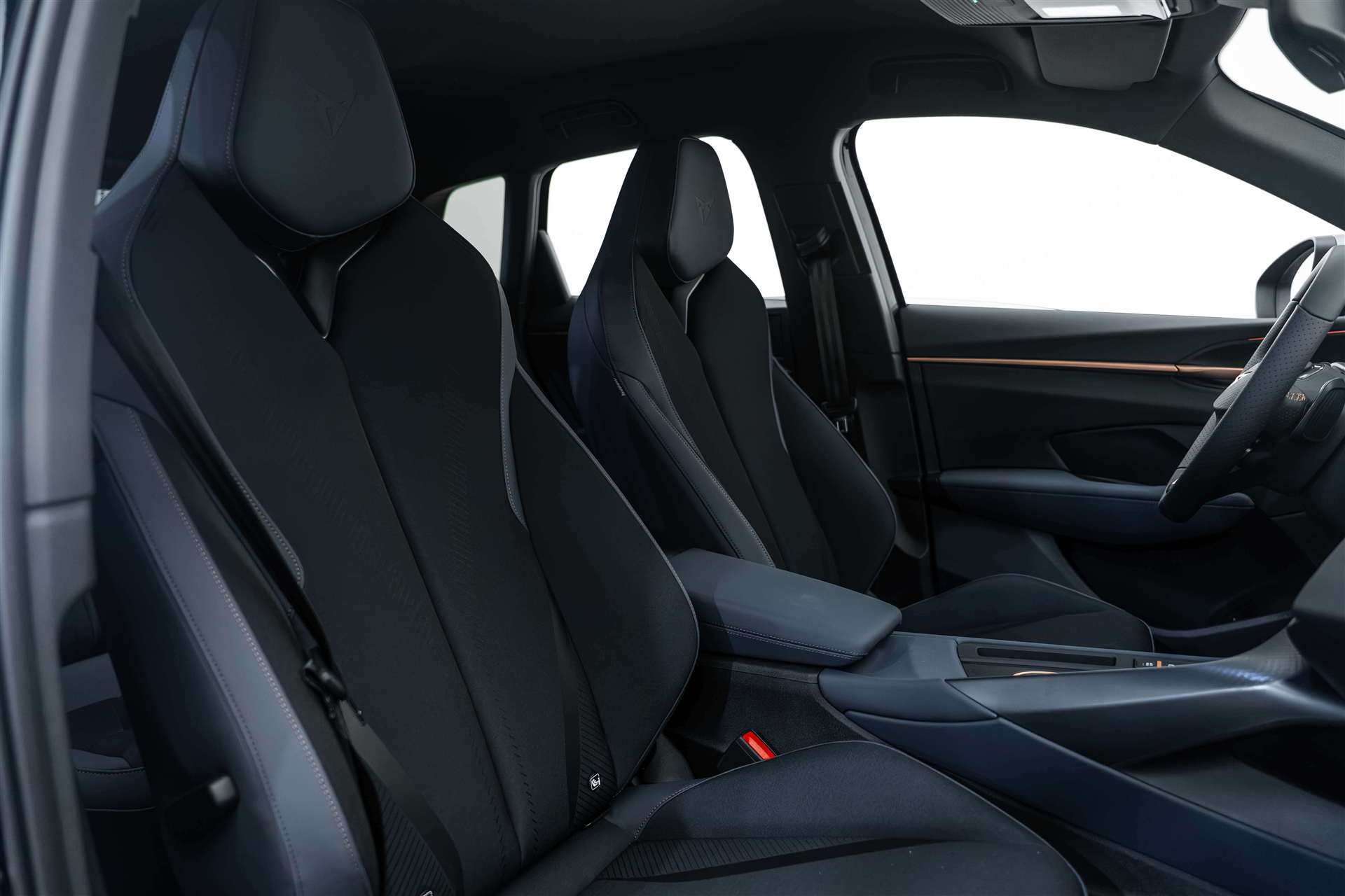 CUPRA Terramar 1.5 eTSi DSG-Automat-image-11