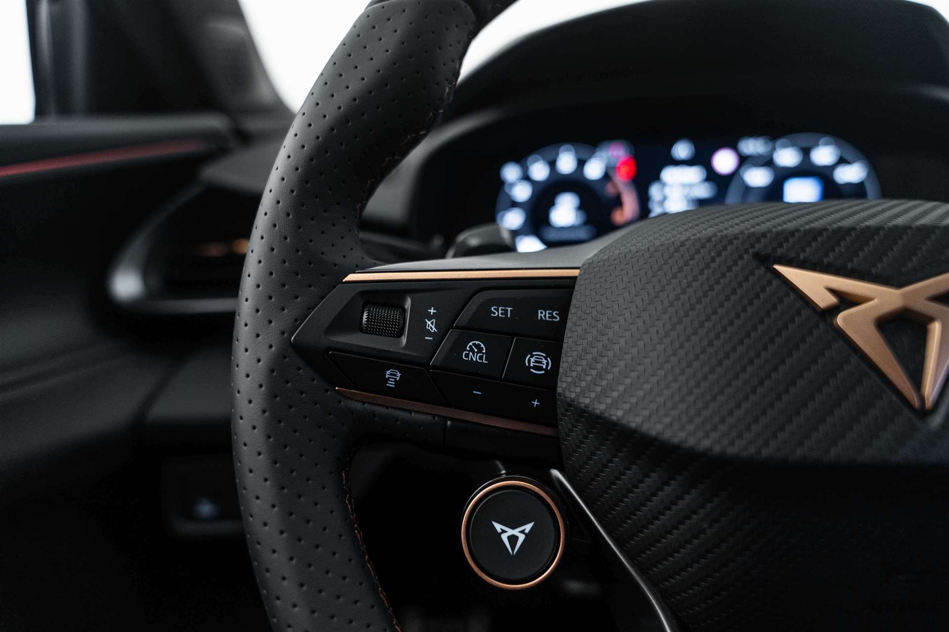 CUPRA Terramar 1.5 eTSi DSG-Automat-image-14
