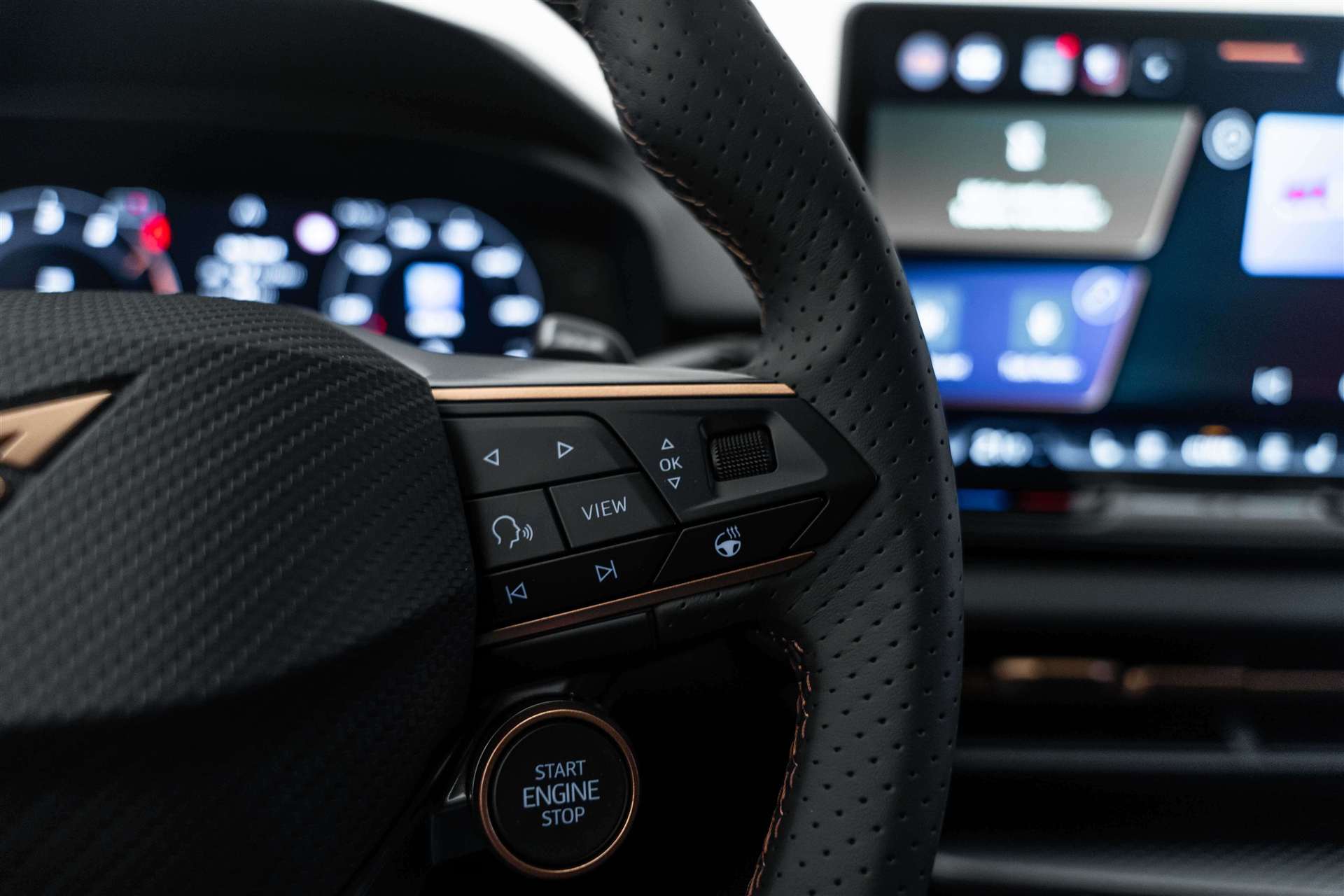 CUPRA Terramar 1.5 eTSi DSG-Automat-image-15