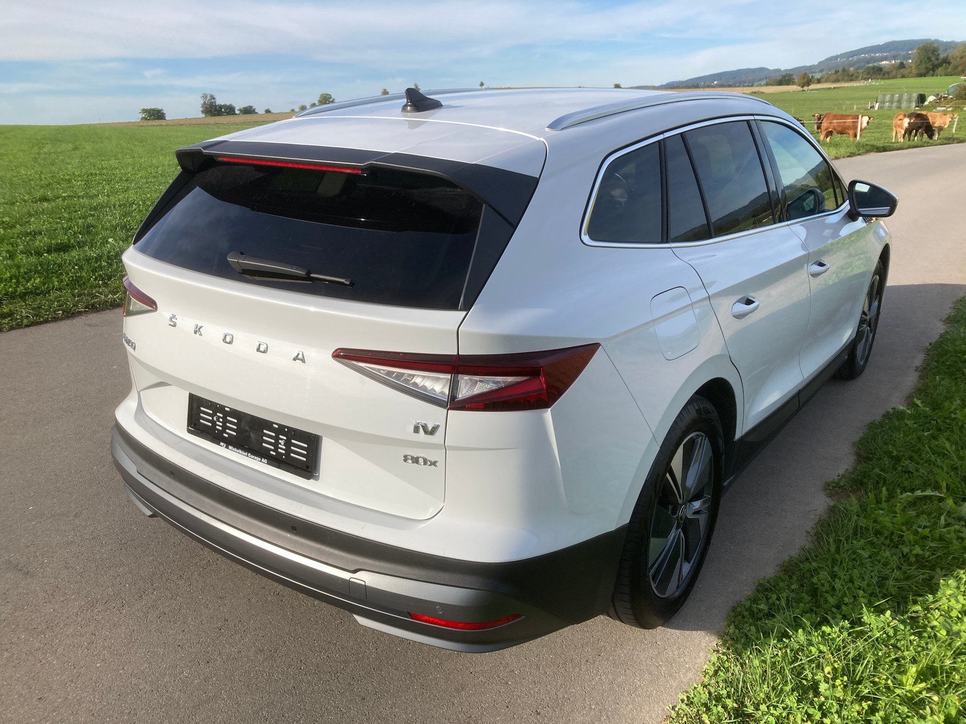 SKODA Enyaq iV 80x-image-2