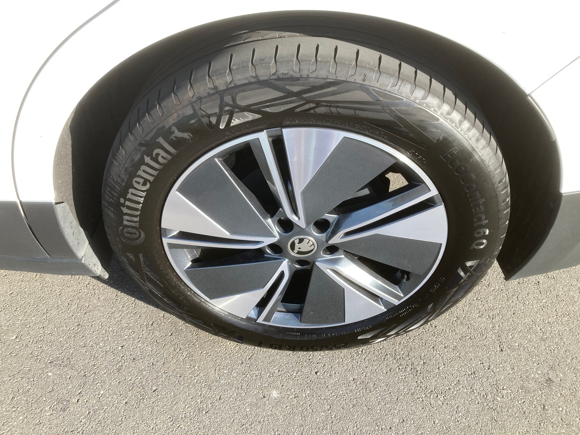 SKODA Enyaq iV 80x-image-6