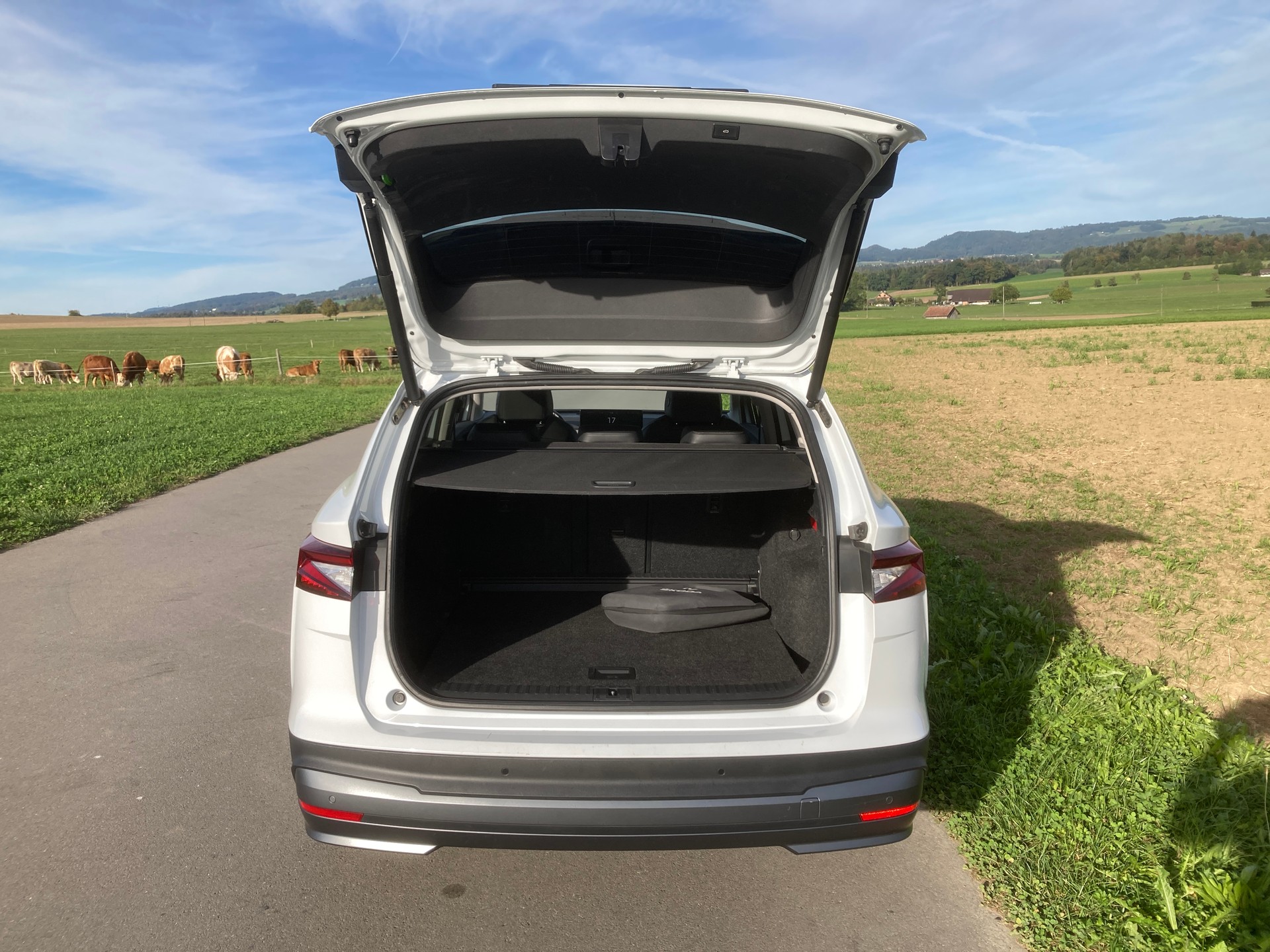 SKODA Enyaq iV 80x-image-5