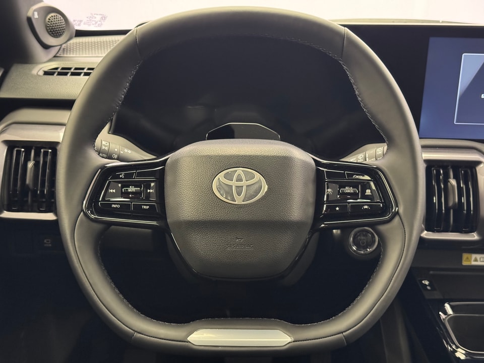 Urban Cruiser Electric 61 kWh Premium AWD