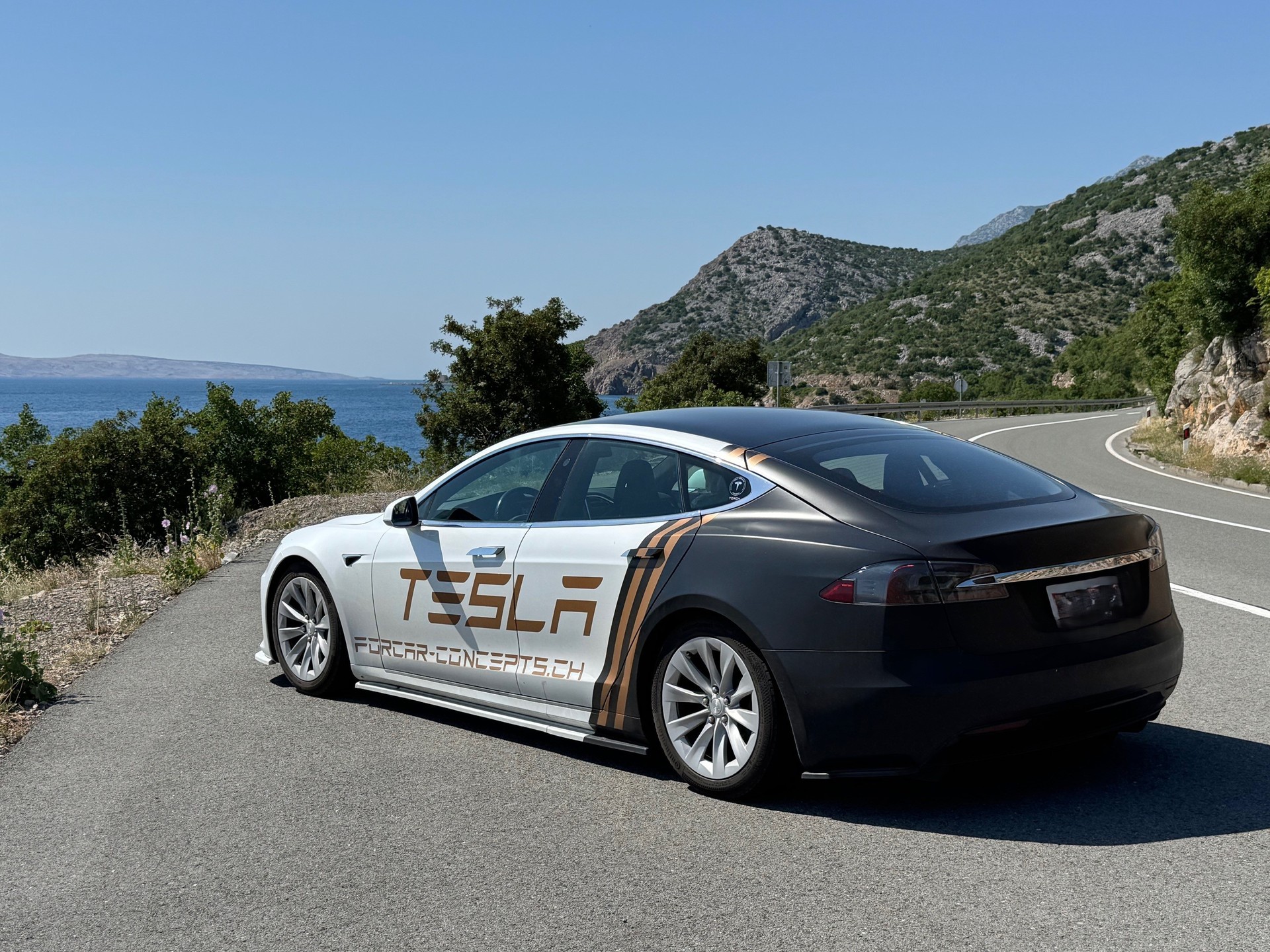 TESLA Model S 75 D-image-1