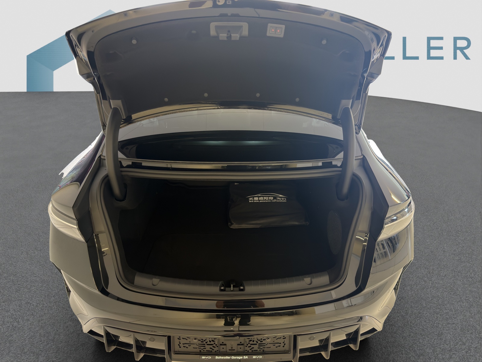 BYD Seal Excellence AWD-image-6