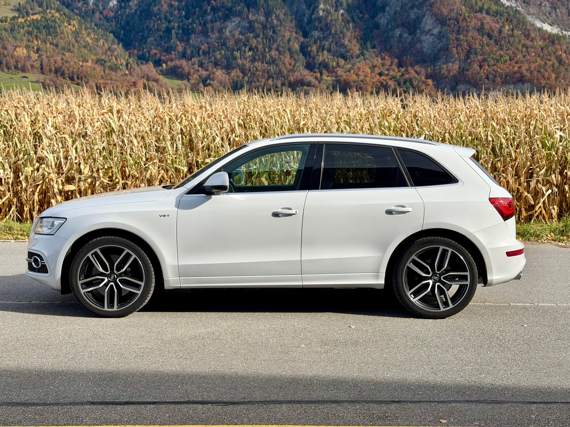 AUDI SQ5 3.0 TDI quattro tiptronic-image-1