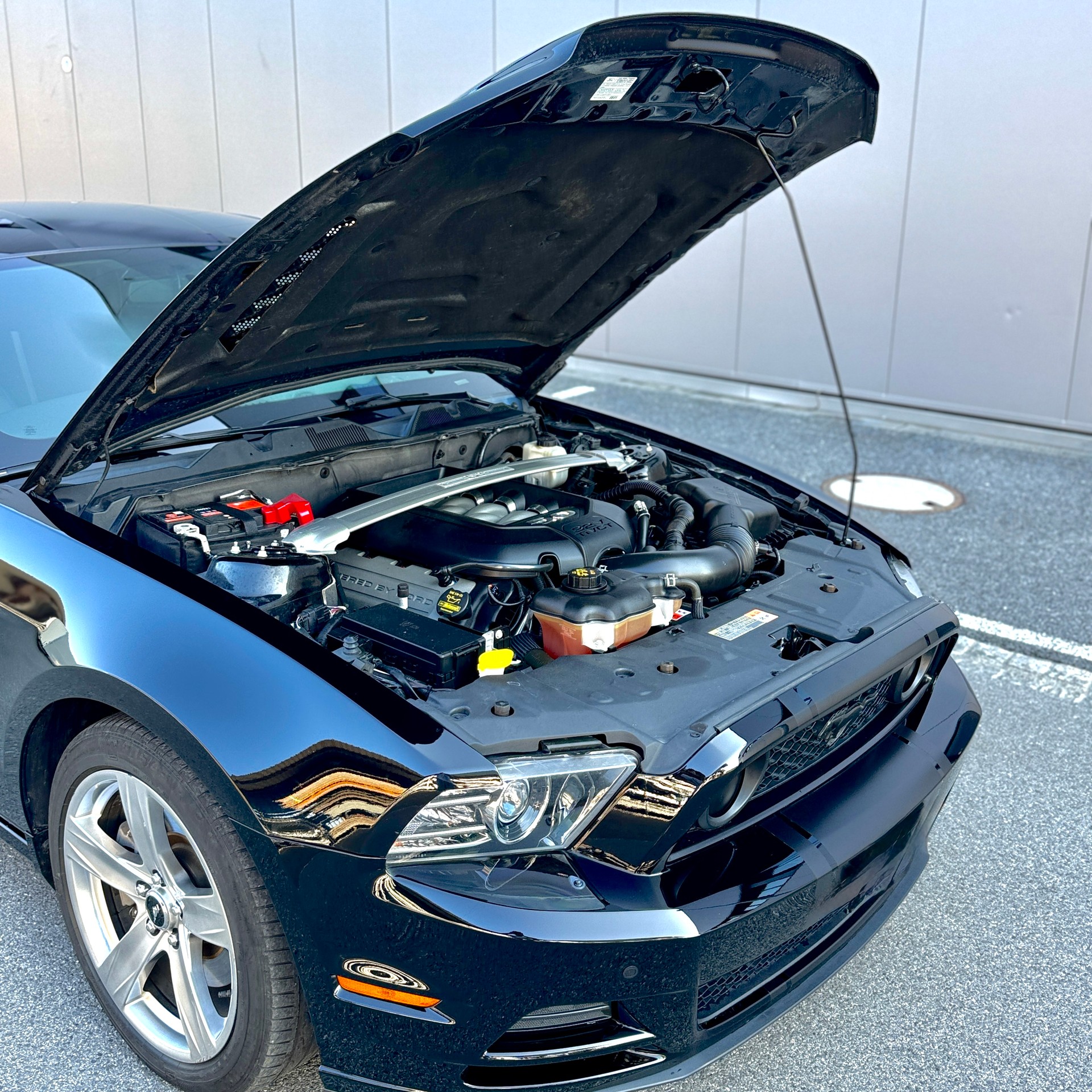 FORD Mustang 5.0-image-11