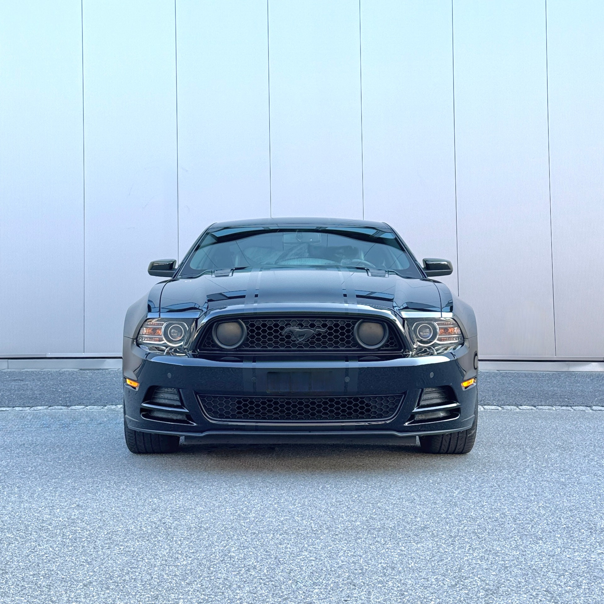 FORD Mustang 5.0-image-4