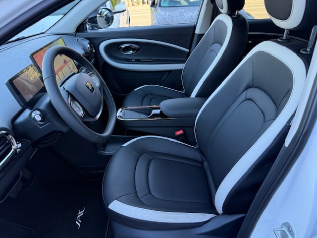 JAC E30X 51 kWh Flagship Pro+-image-3