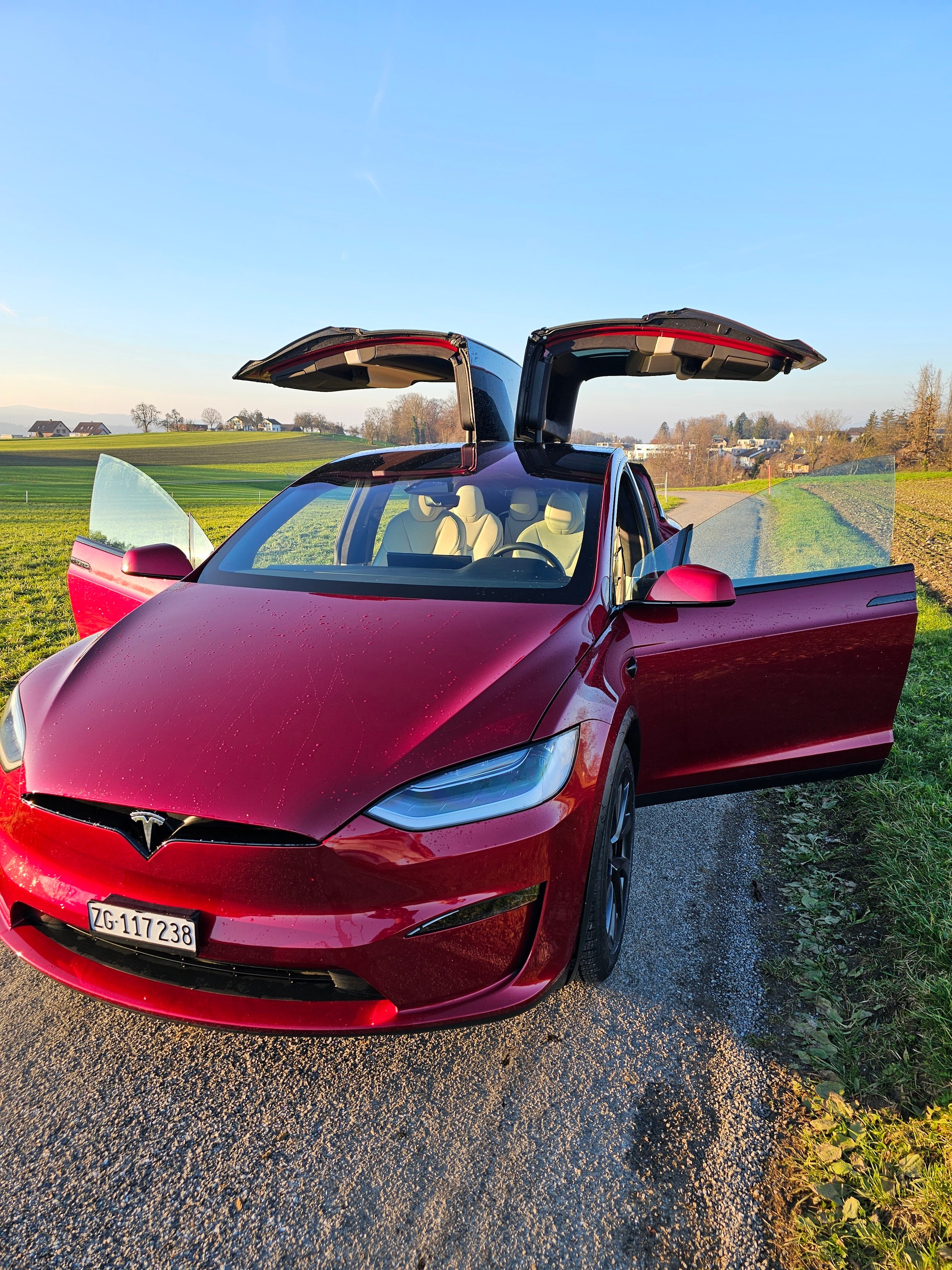 TESLA MODEL X-image-4