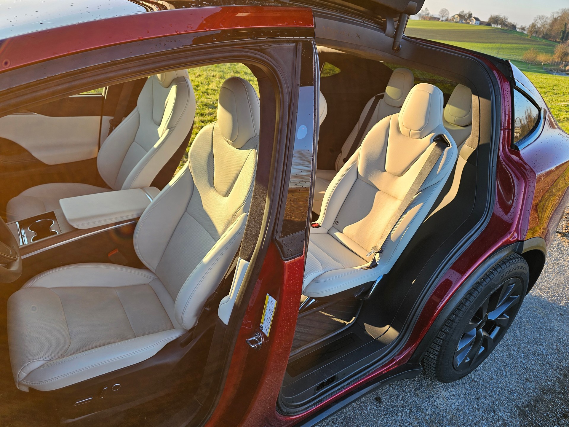 TESLA MODEL X-image-2