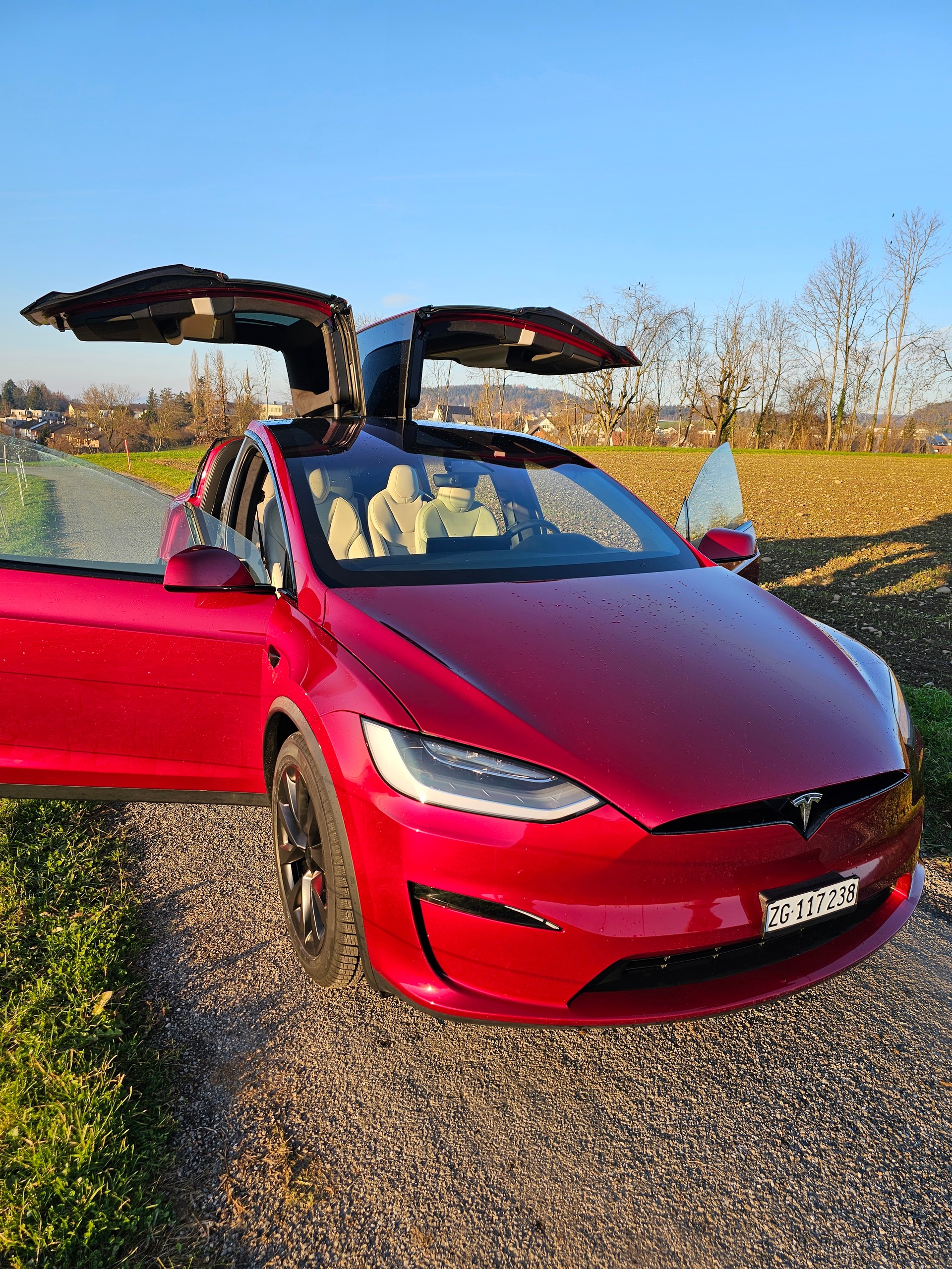 TESLA MODEL X-image-0